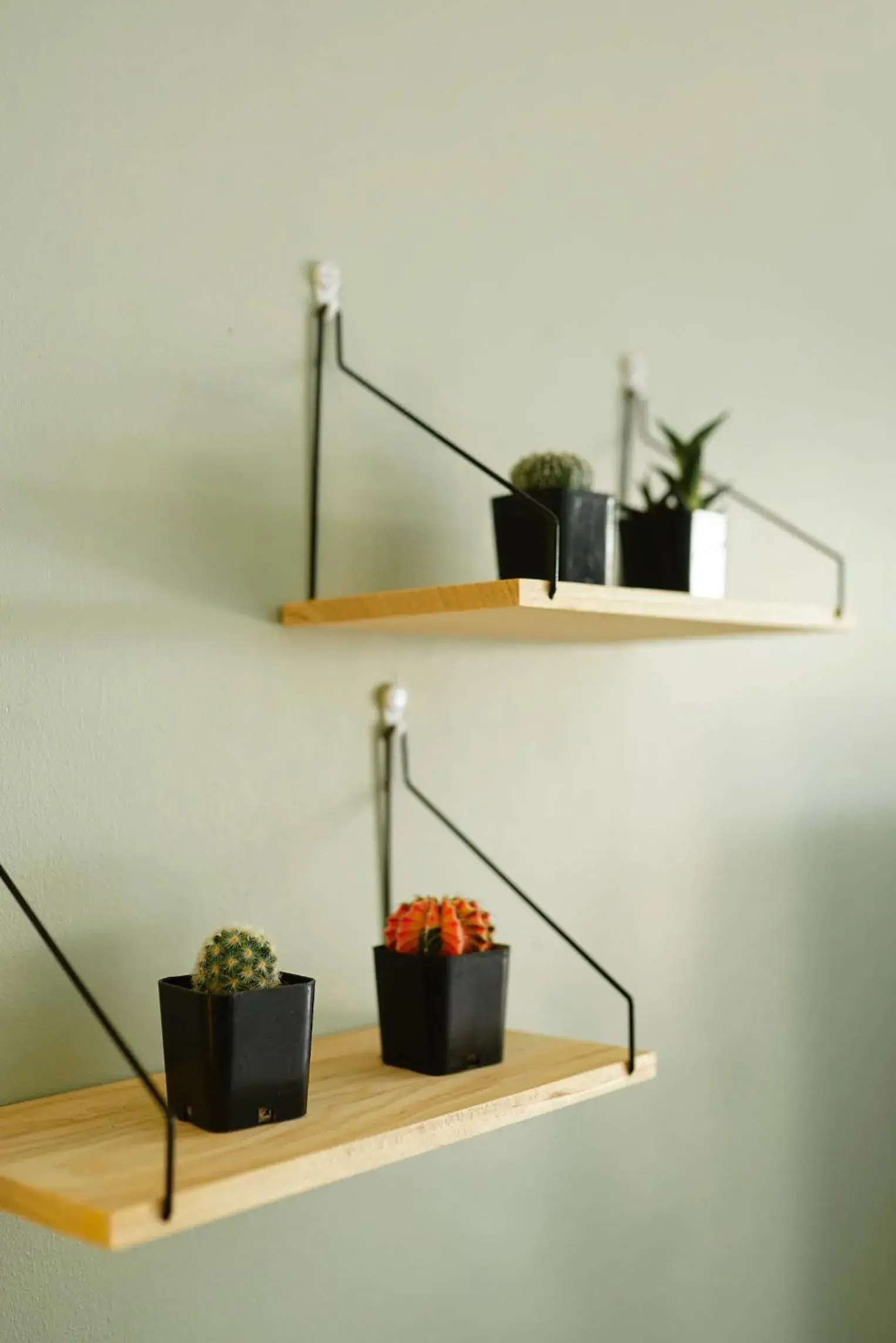 Property building in Maiiam Bungalows Kata Beach Property building in Maiiam Bungalows Kata Beach