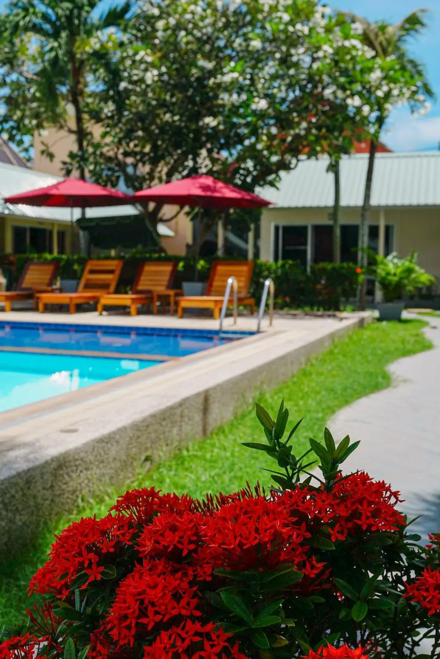 Swimming pool in Maiiam Bungalows Kata Beach Swimming pool in Maiiam Bungalows Kata Beach