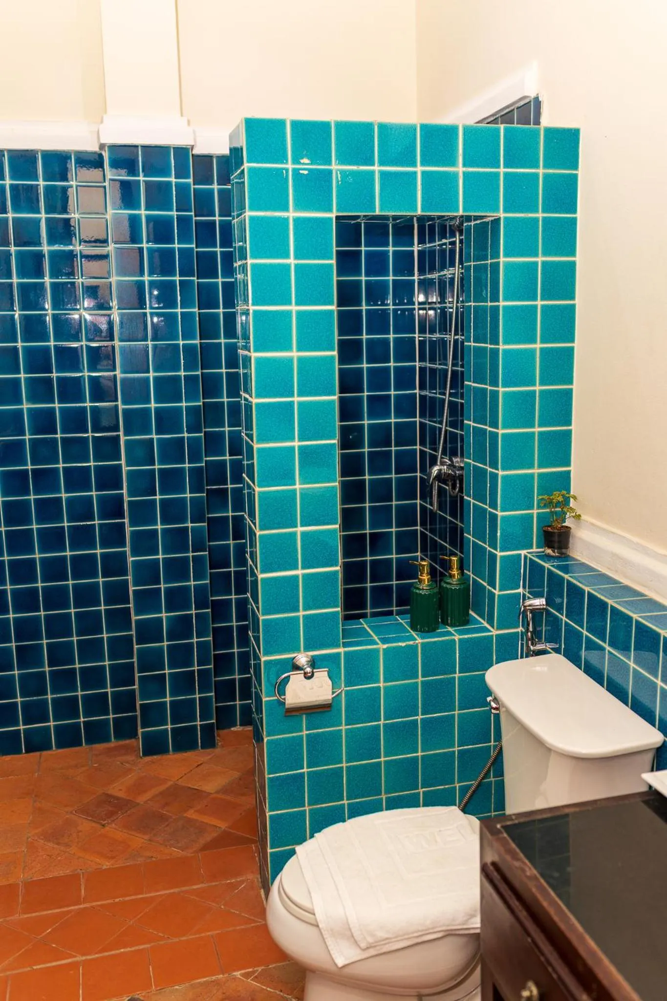 Shower in Le Luxe Boutique Hotel