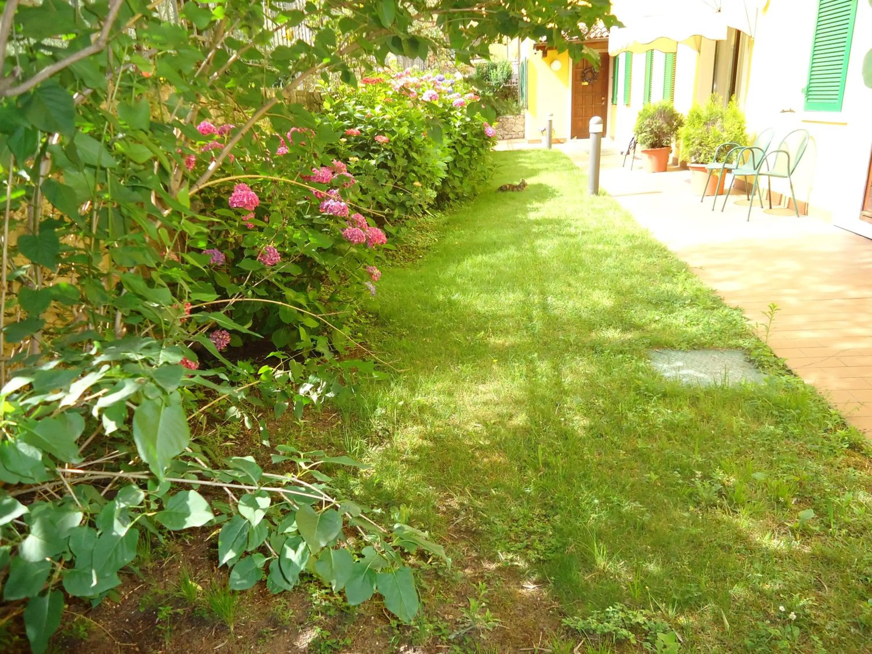 Garden in Residence il Cedro