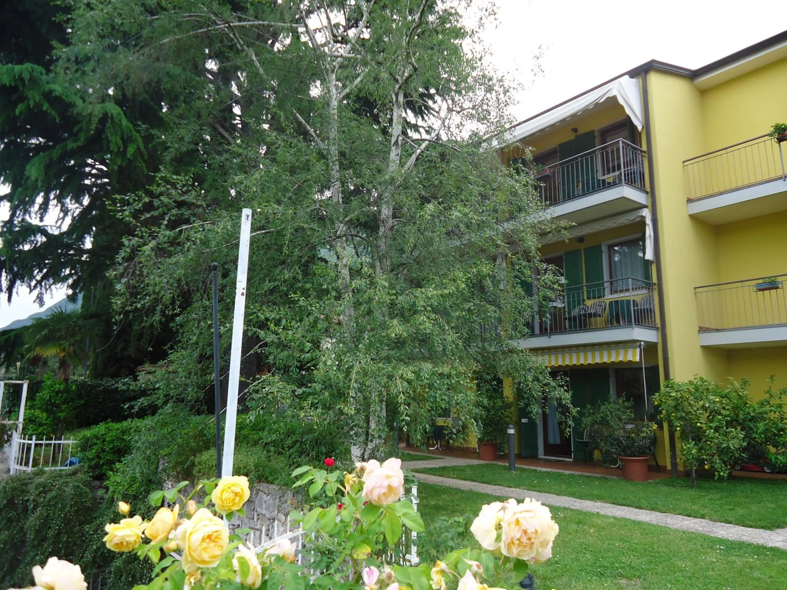 Garden in Residence il Cedro