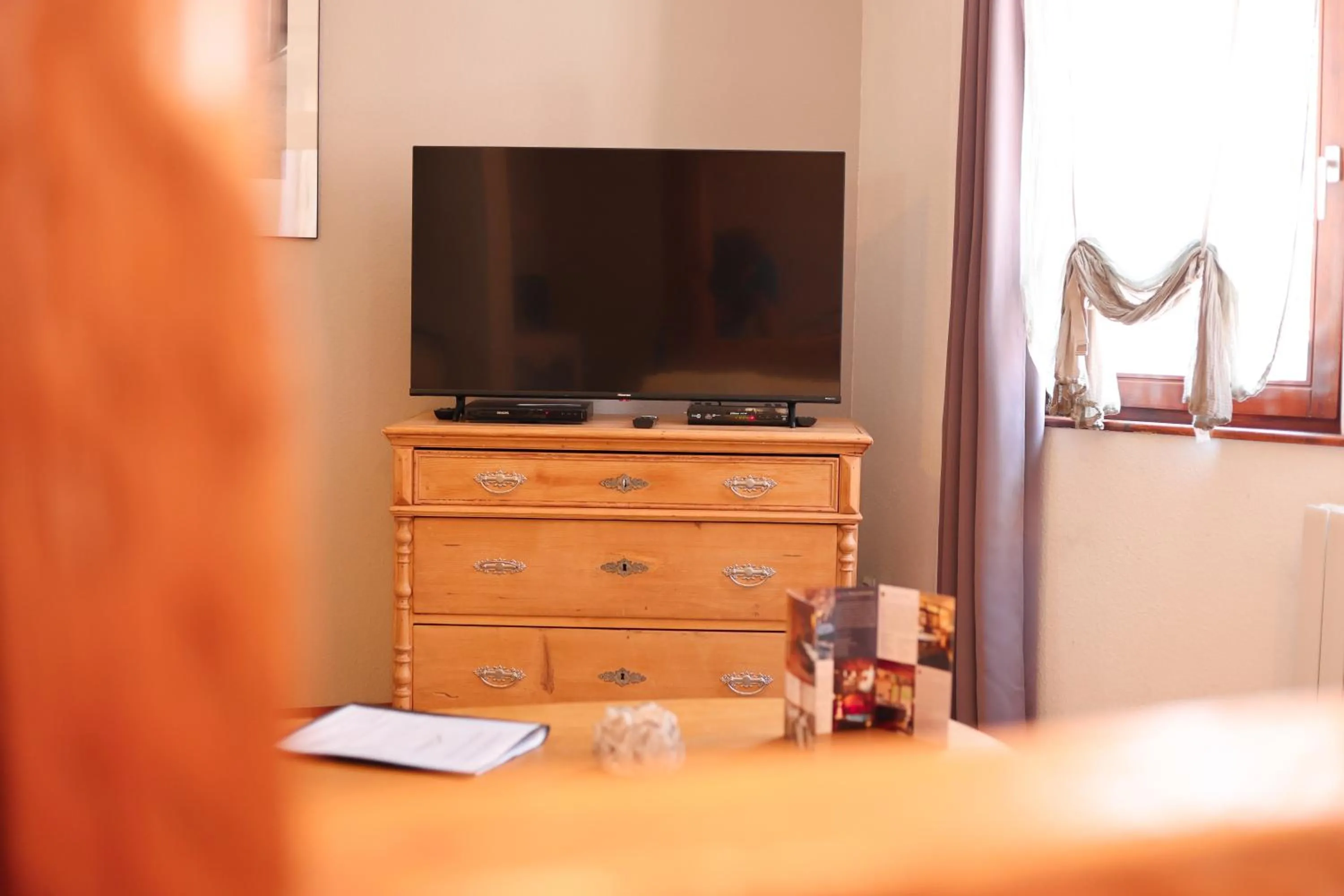 TV and multimedia in Les Authentics - La Maison d'Amélie