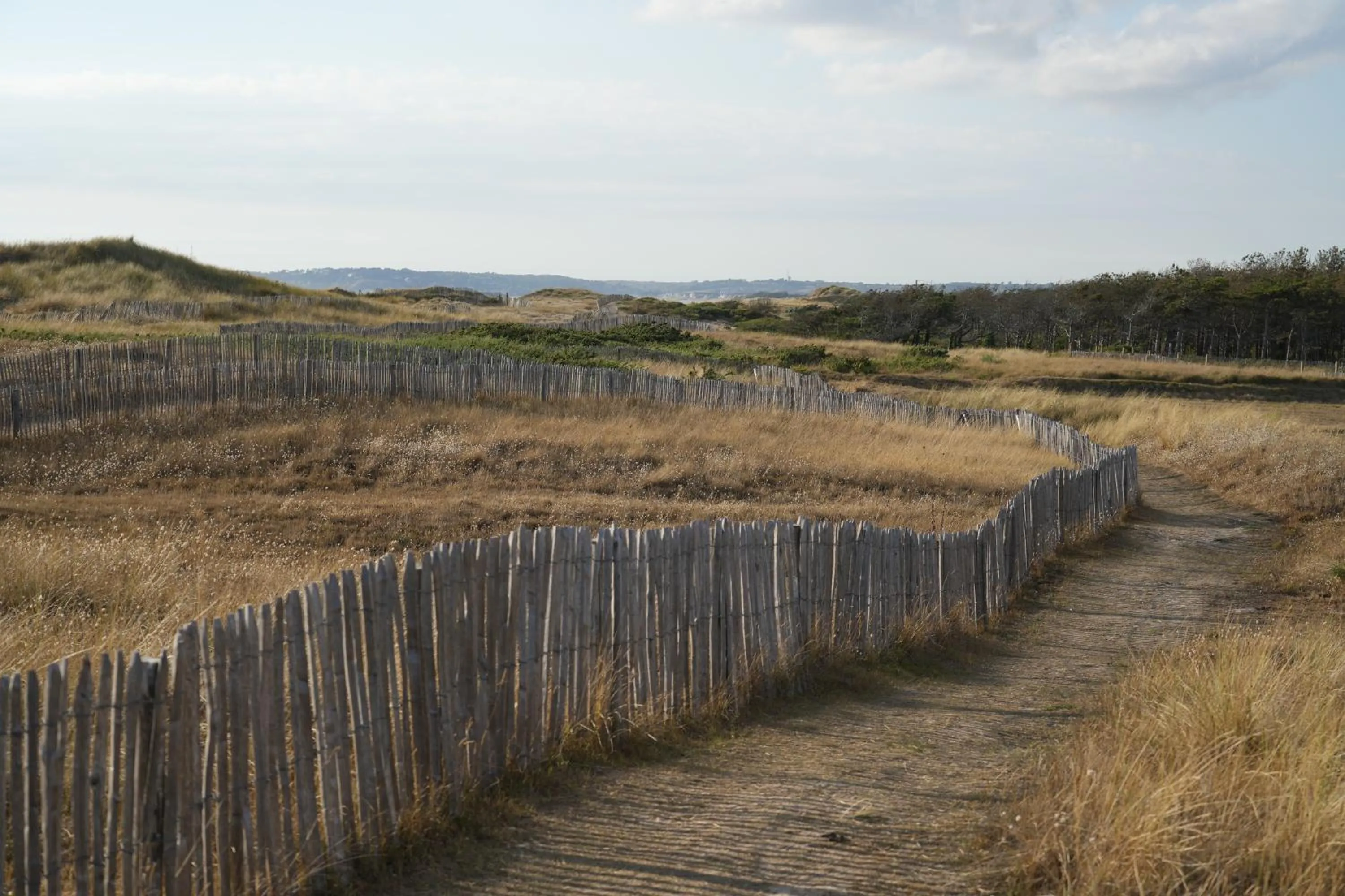 Natural landscape in VVF Cotentin Îles anglo-normandes