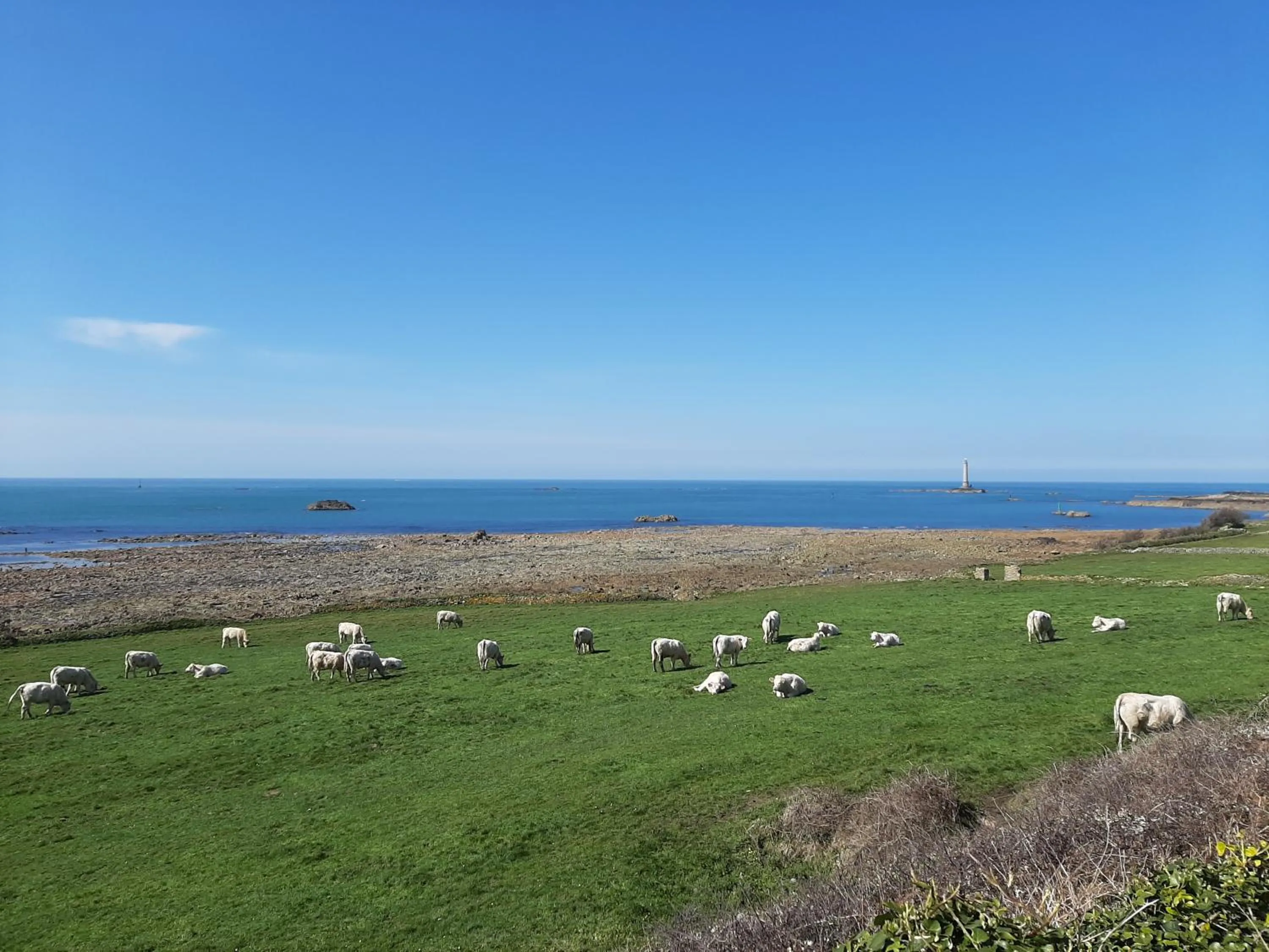 Natural landscape in VVF Cotentin Îles anglo-normandes