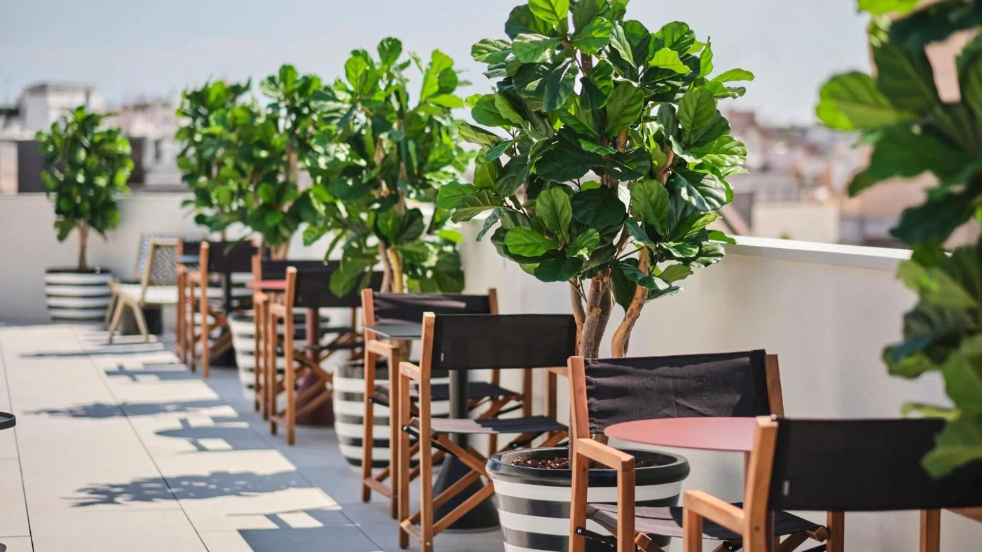 Day in ESTIMAR Valencia