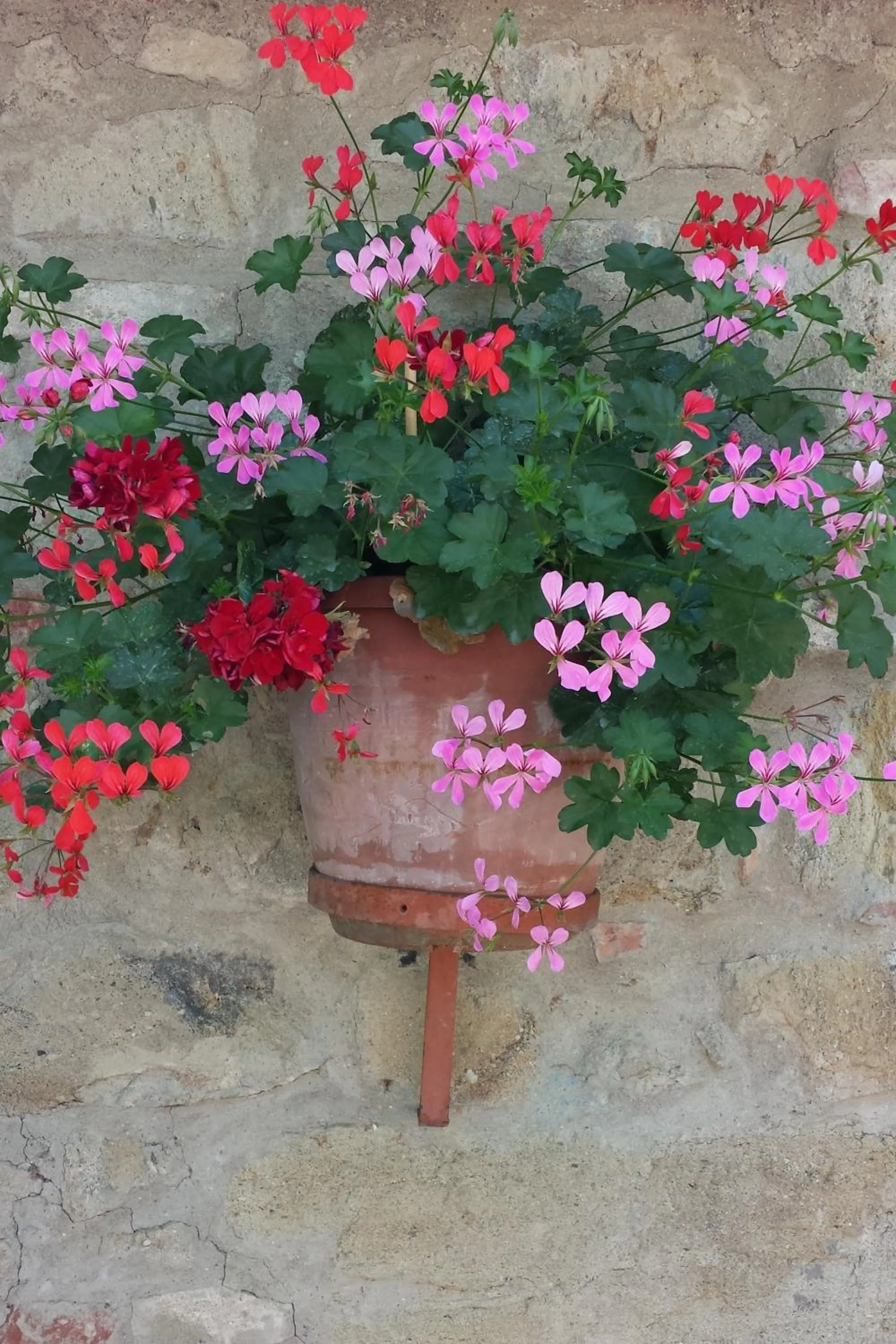 Facade/entrance in Agriturismo Villino del Grillo