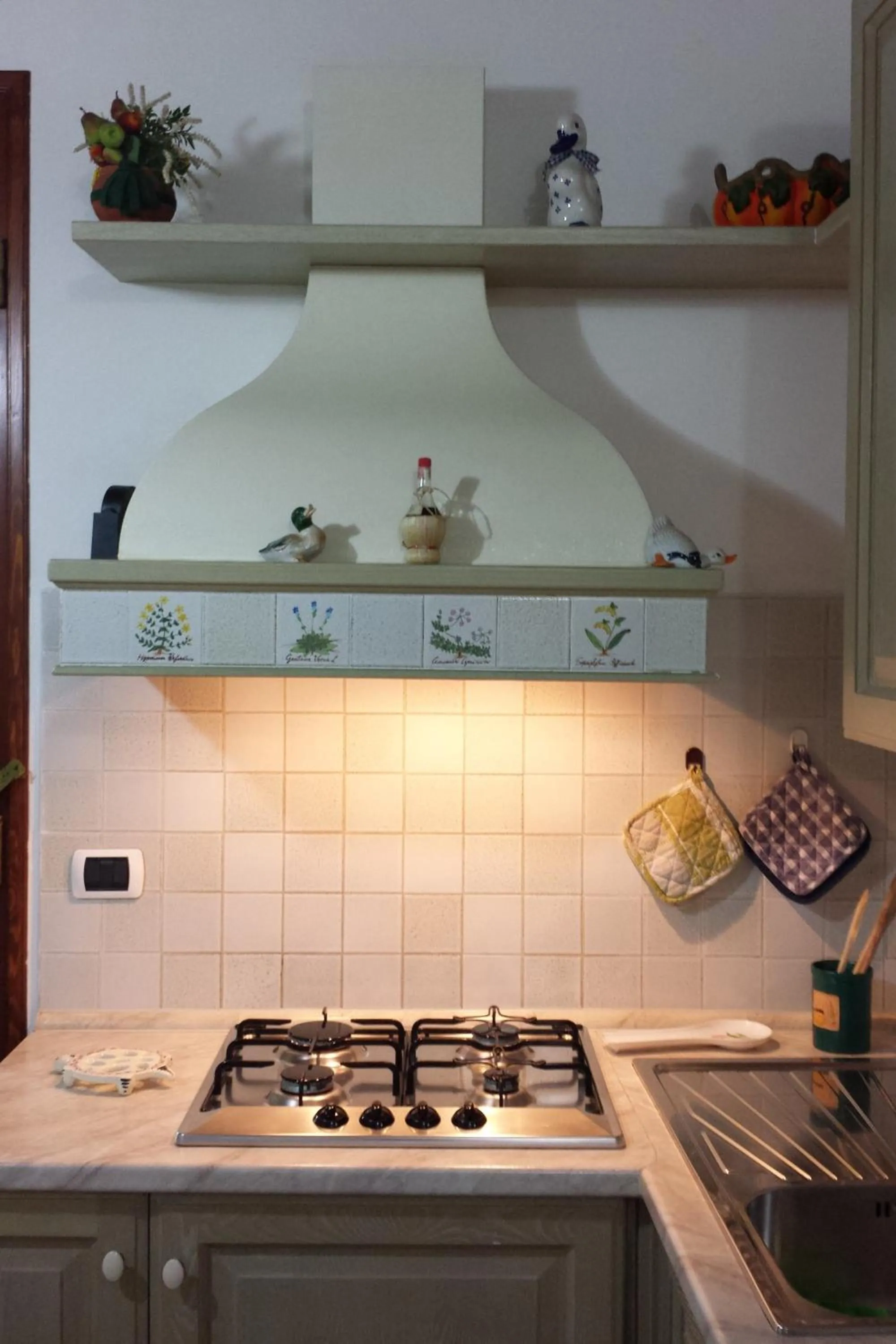 Kitchen or kitchenette in Agriturismo Villino del Grillo