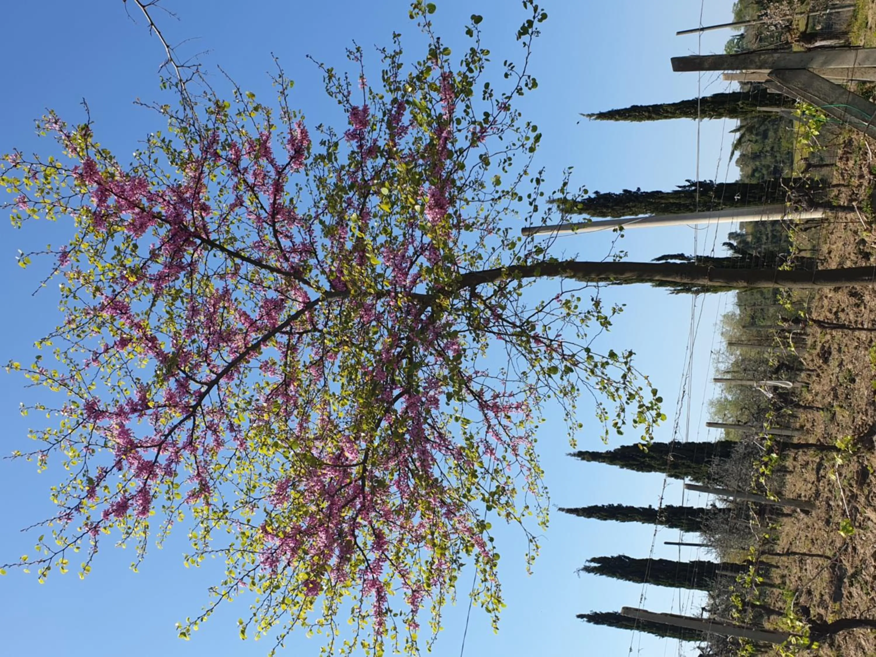 Spring in Agriturismo Villino del Grillo