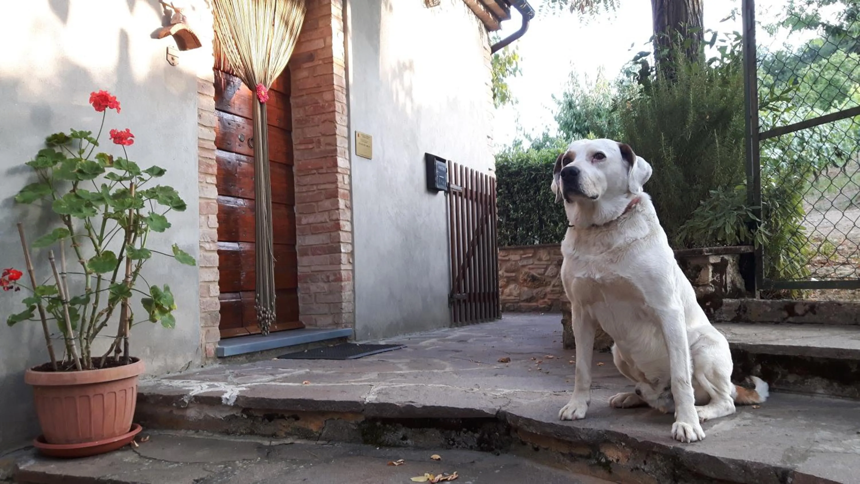 Pets in Agriturismo Villino del Grillo