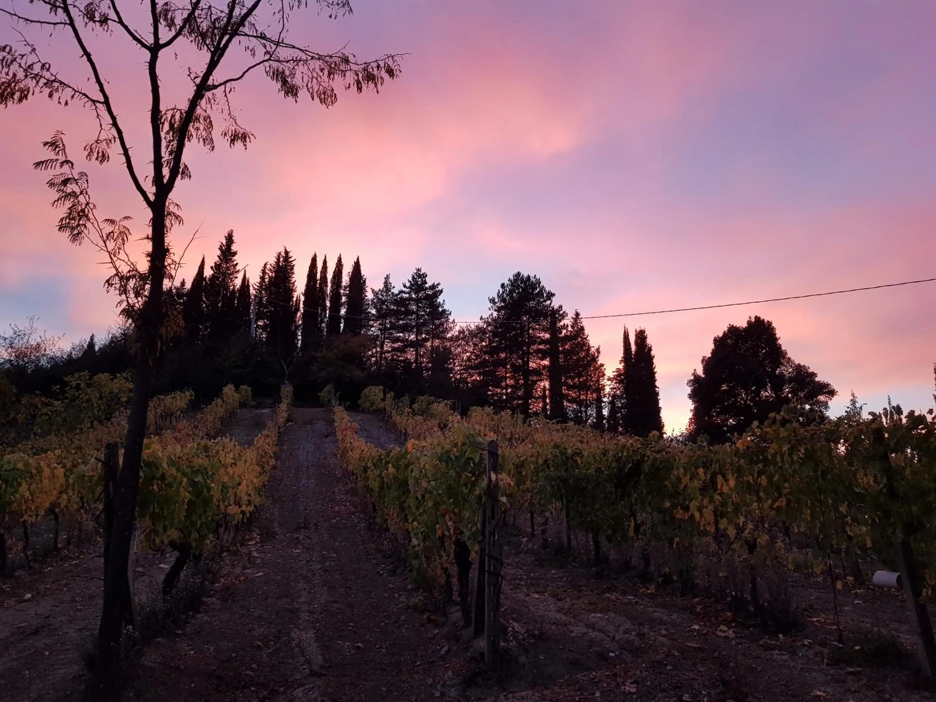 Natural landscape in Agriturismo Villino del Grillo