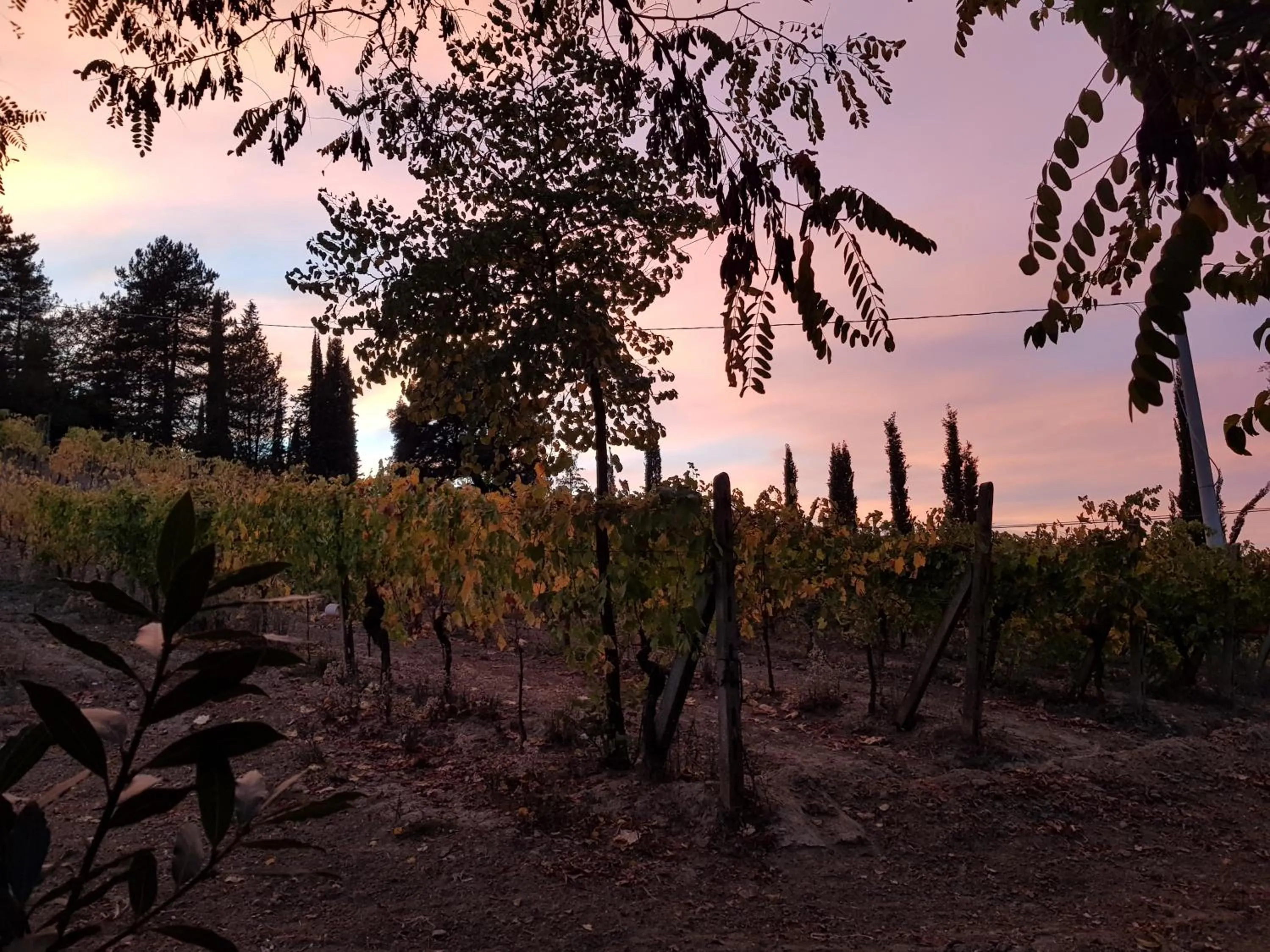 Natural landscape in Agriturismo Villino del Grillo