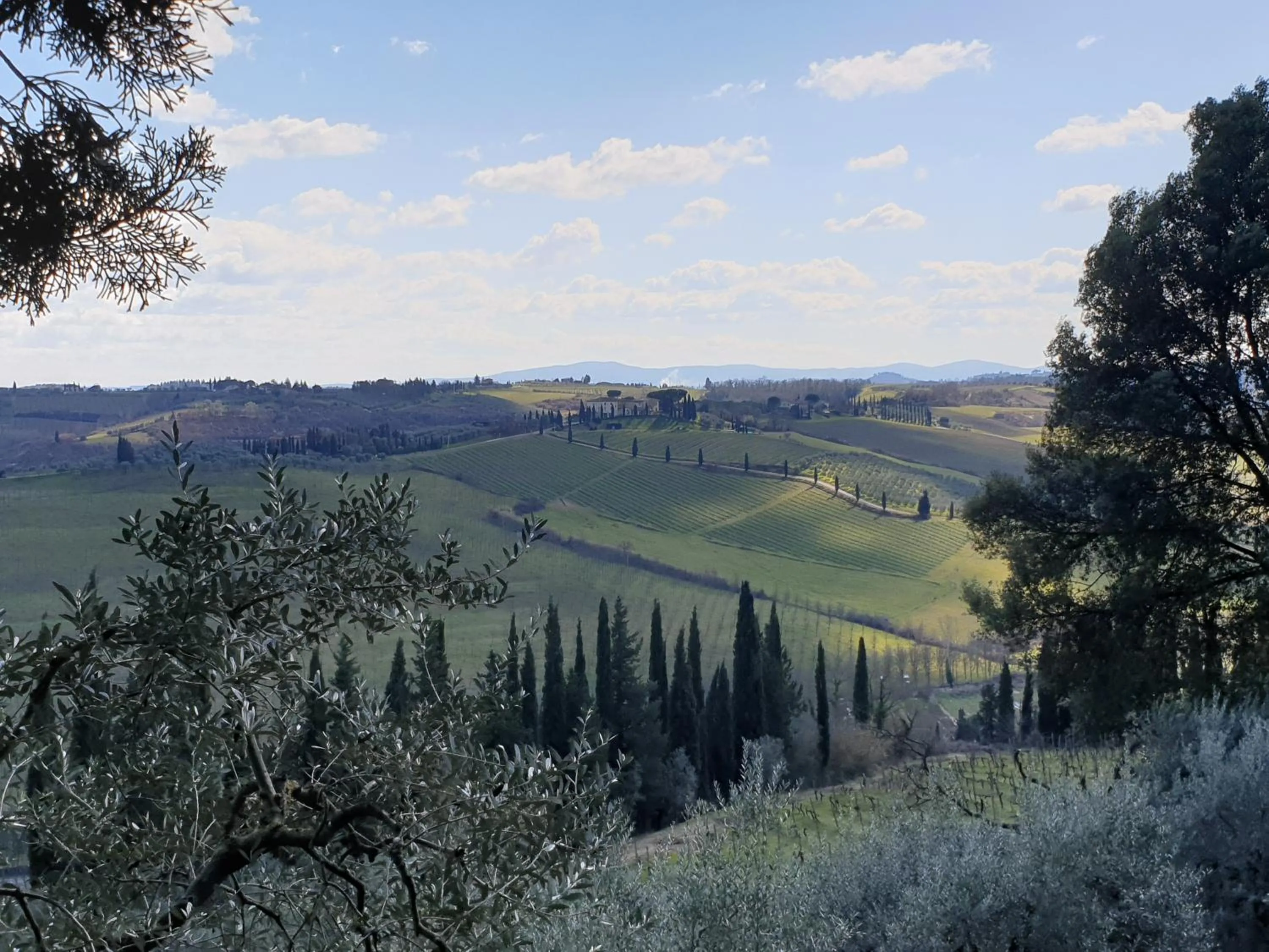 Natural landscape in Agriturismo Villino del Grillo