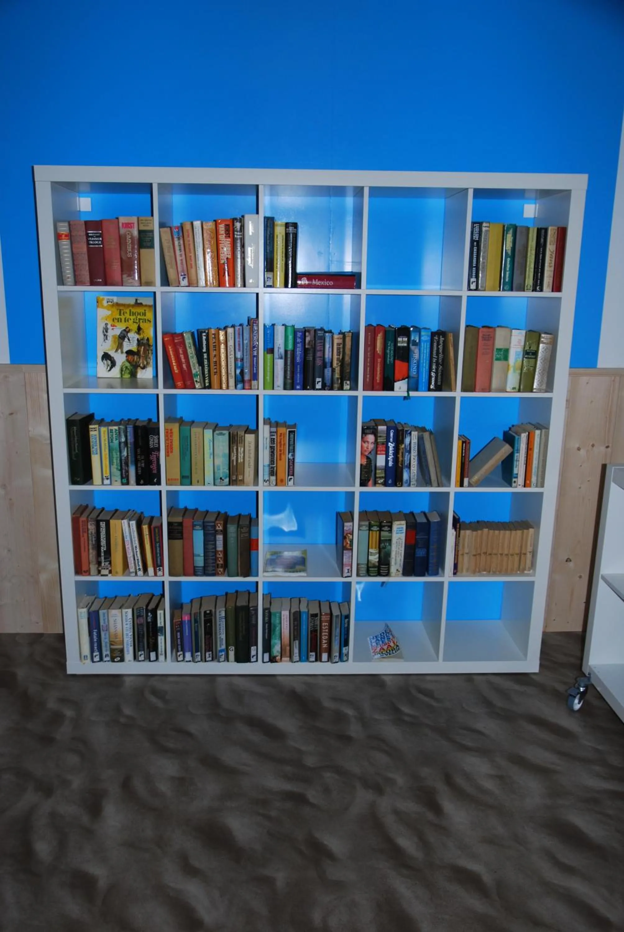 Library in Minicamping De Visser