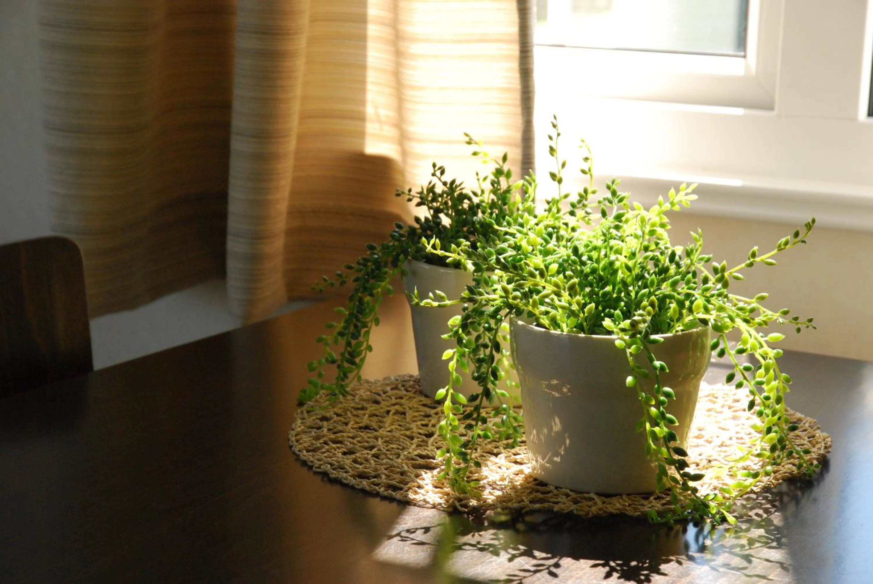 Decorative detail in Minicamping De Visser