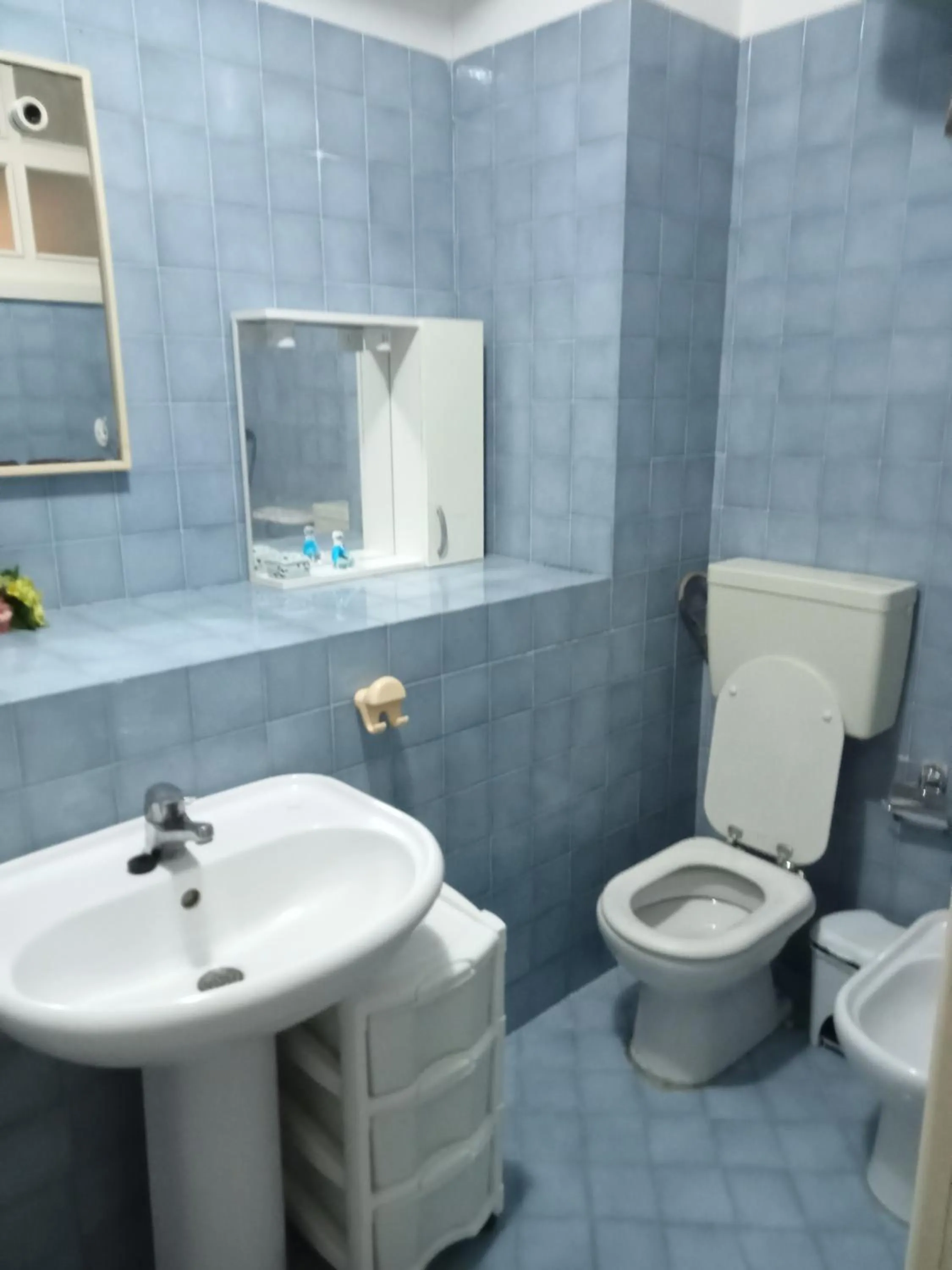 Toilet in Calamaluk