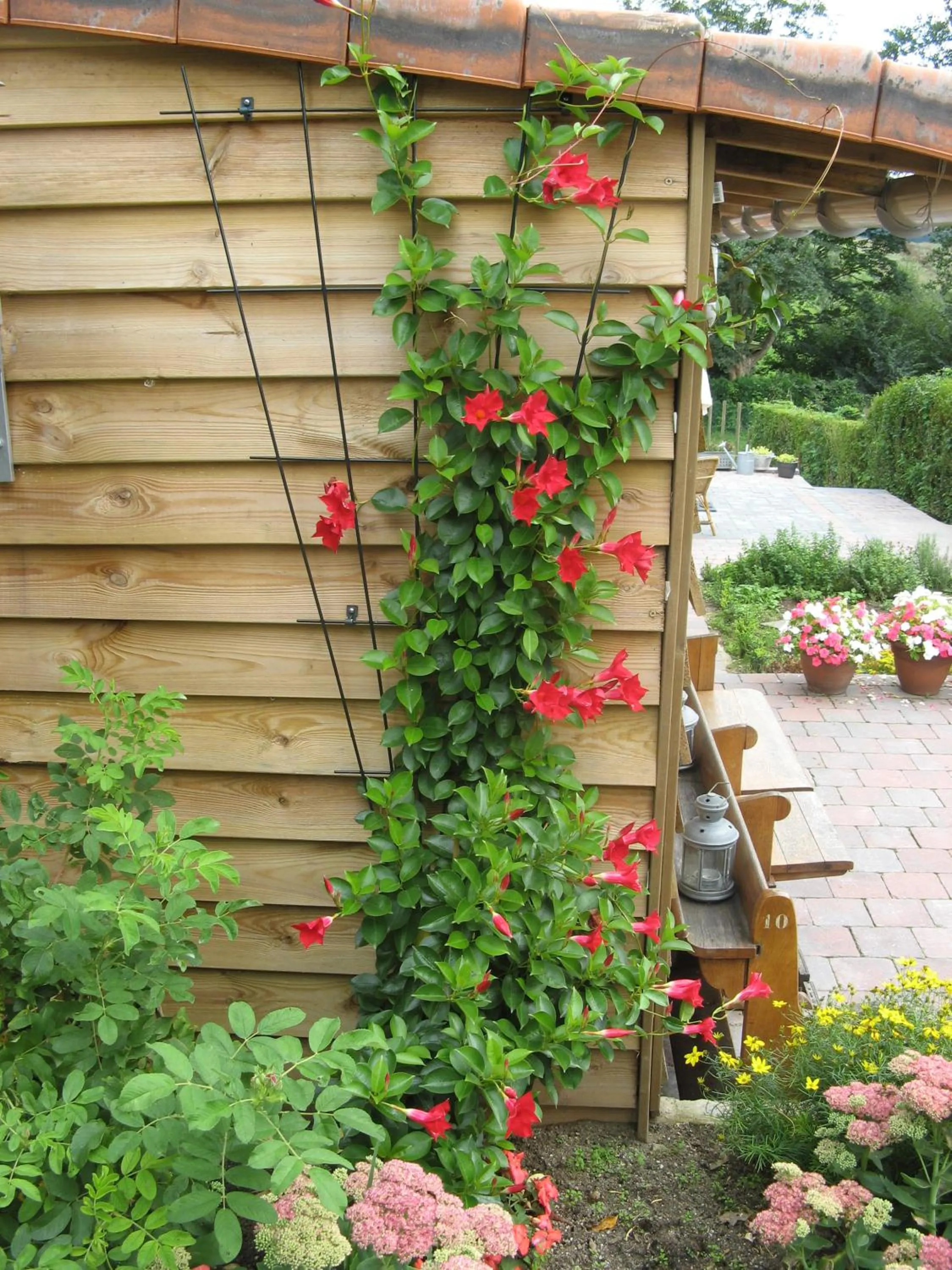 Decorative detail in Hotel De Wilde Kriek