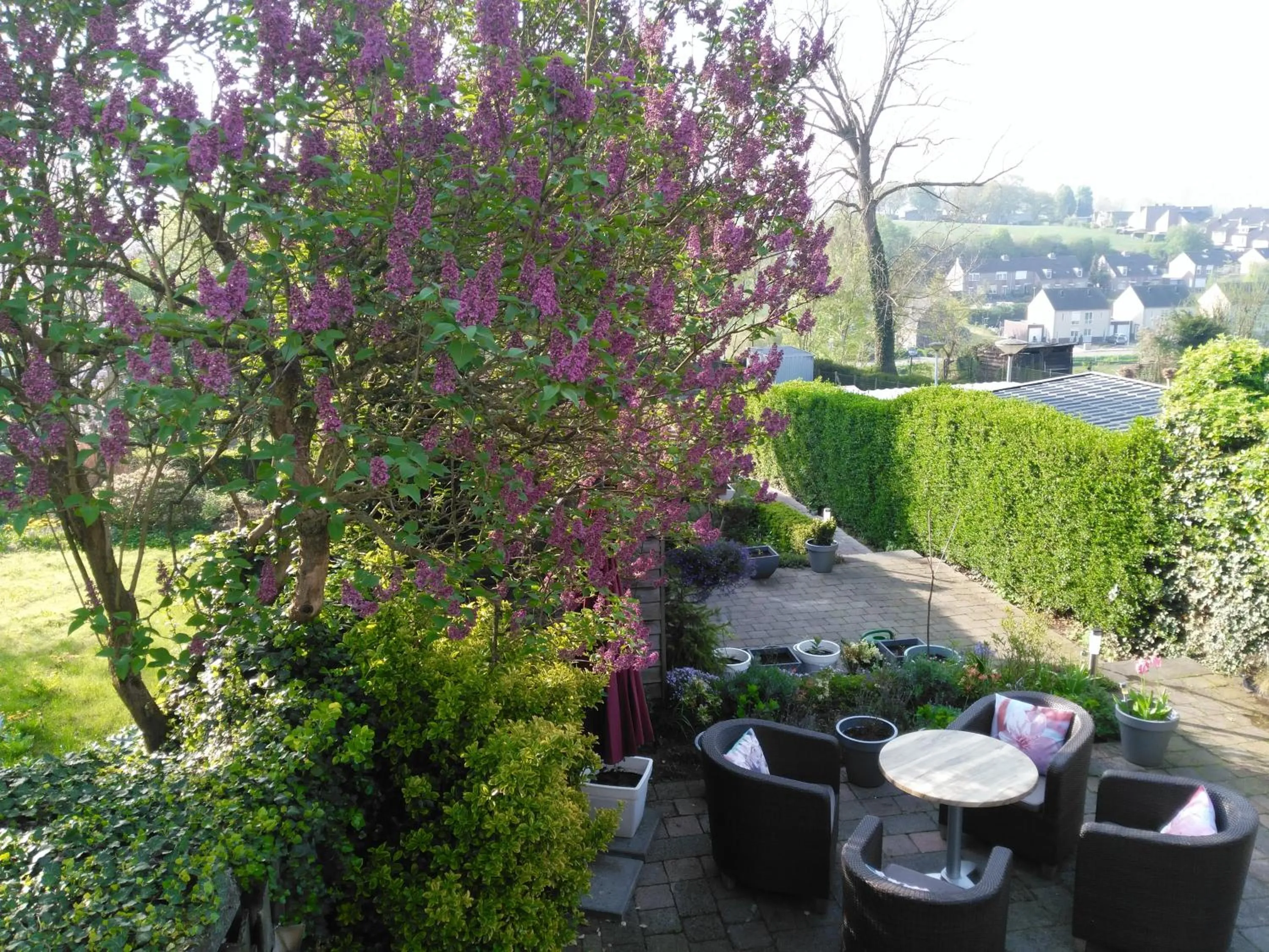 Hotel De Wilde Kriek