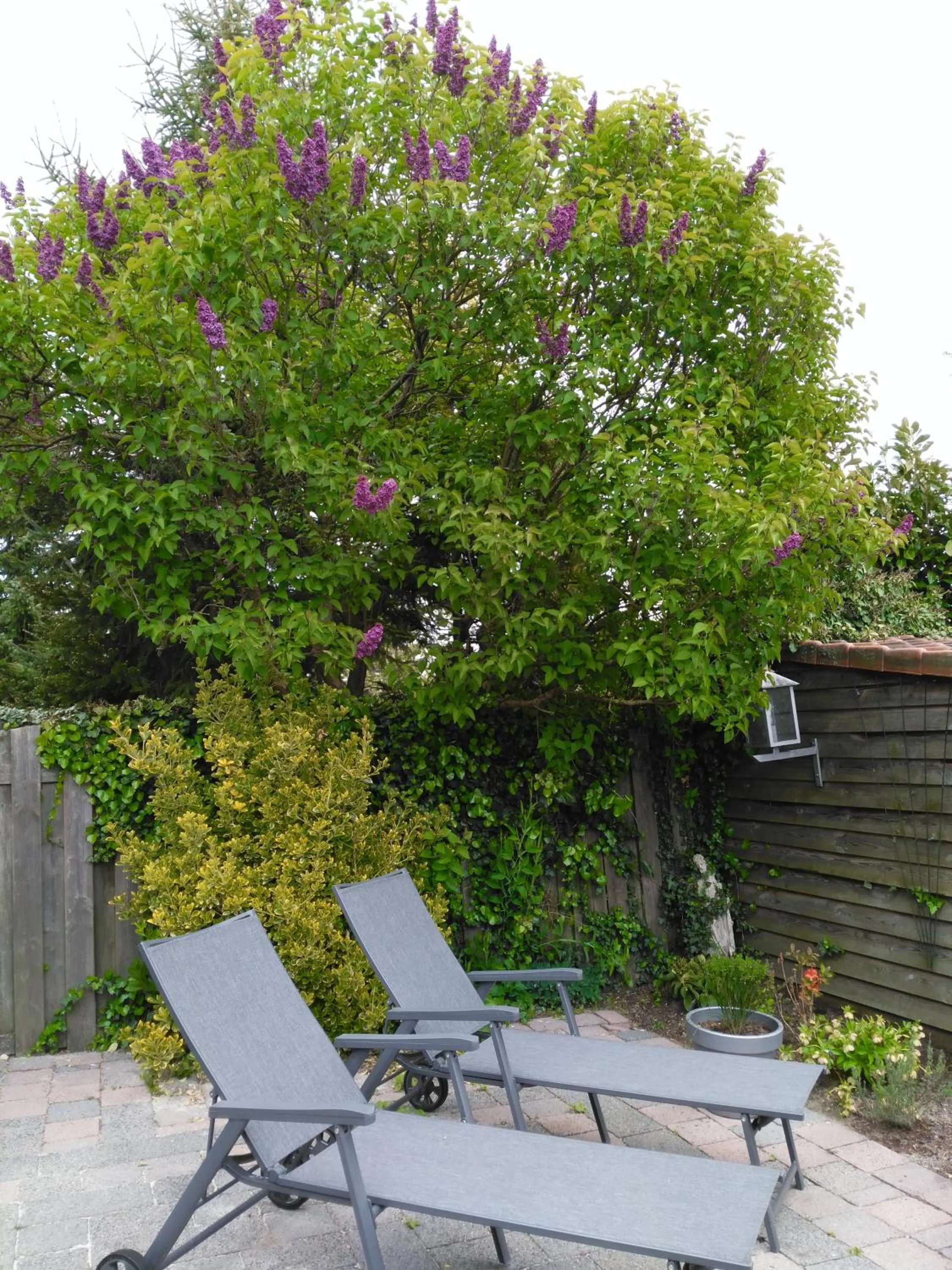 Spring in Hotel De Wilde Kriek