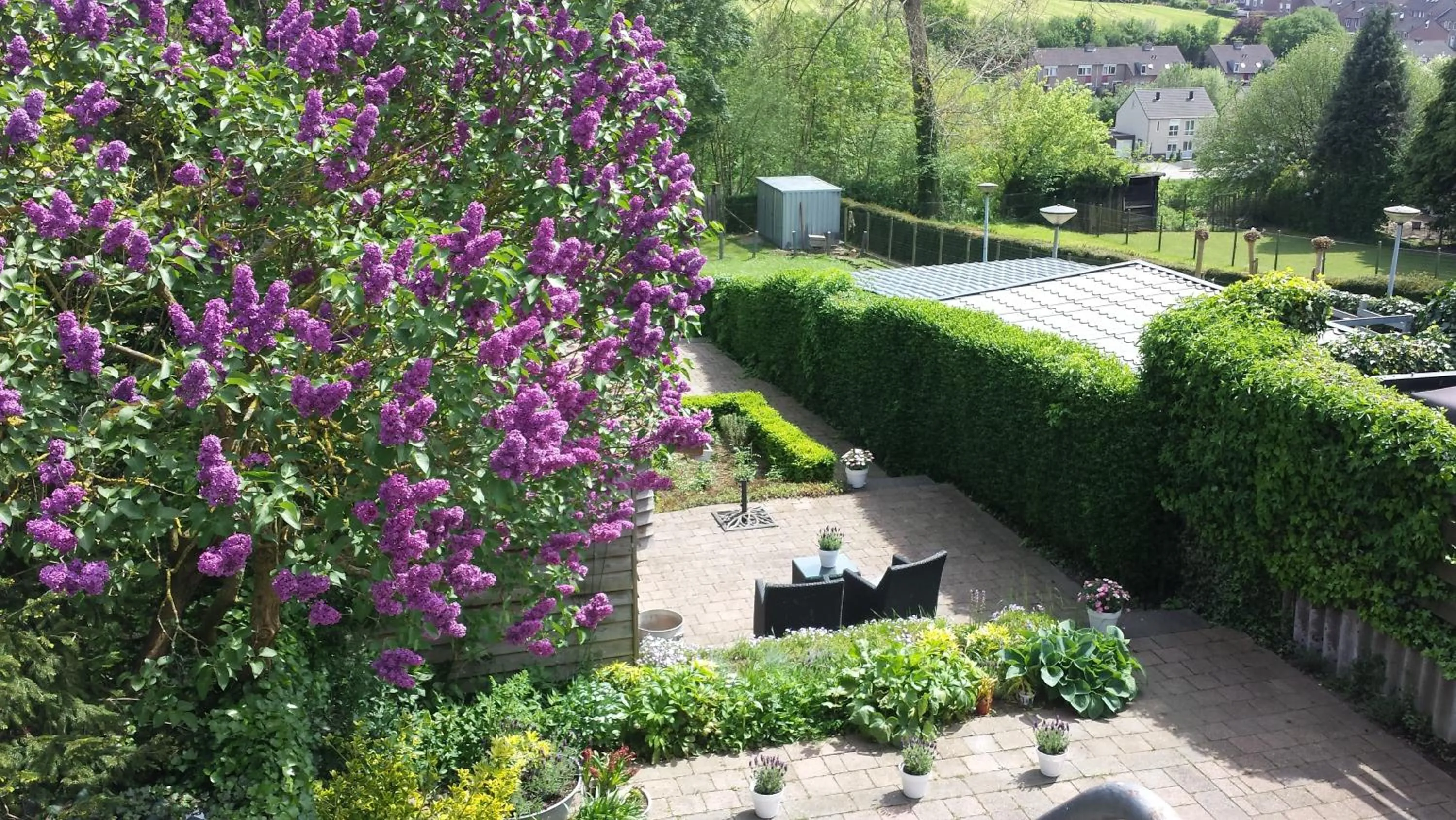 Day in Hotel De Wilde Kriek