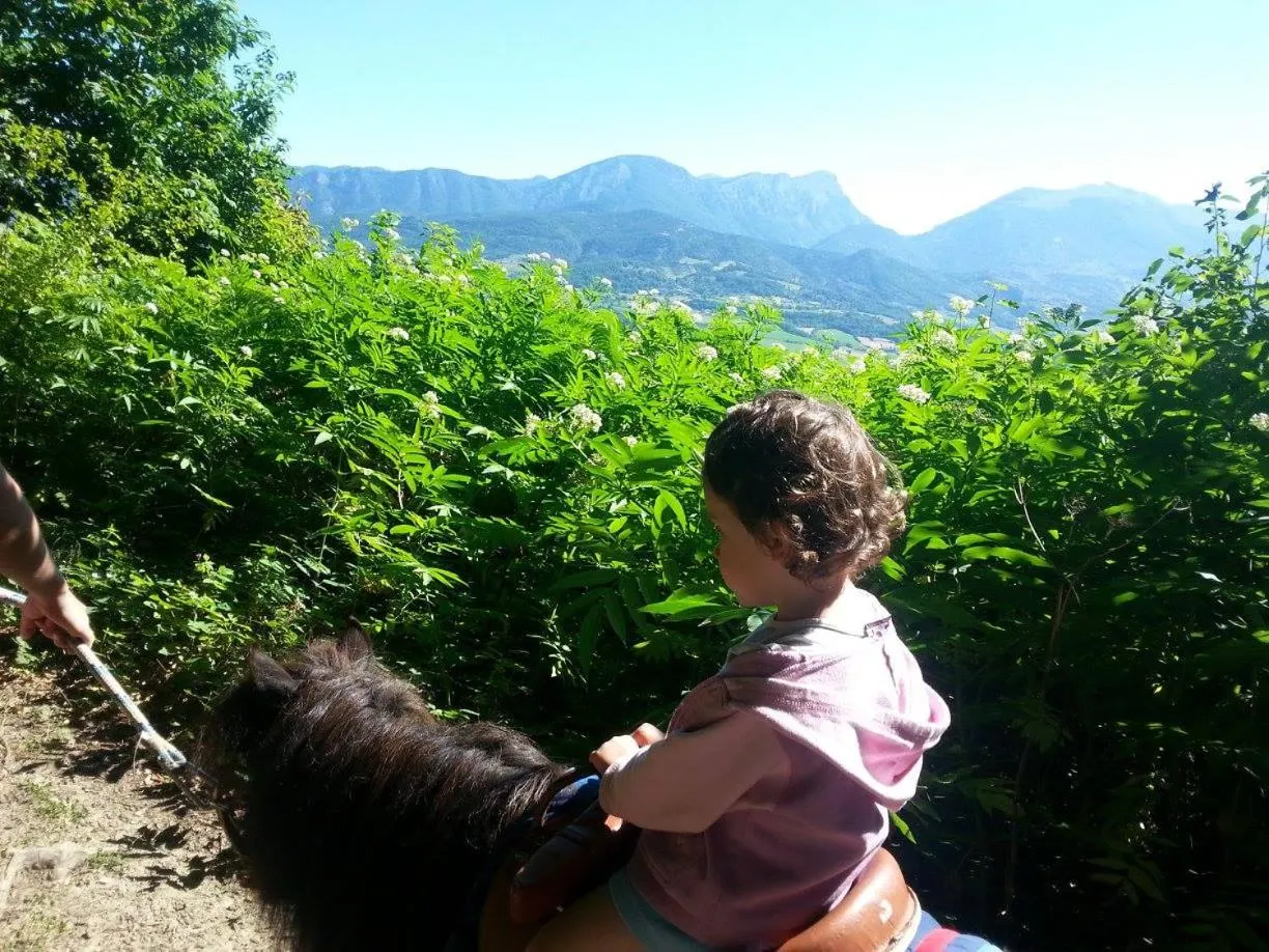 Activities in Chalets du Bois de Vache