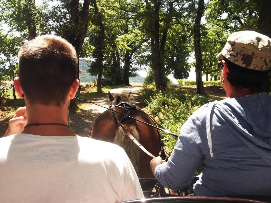 Activities in Chalets du Bois de Vache