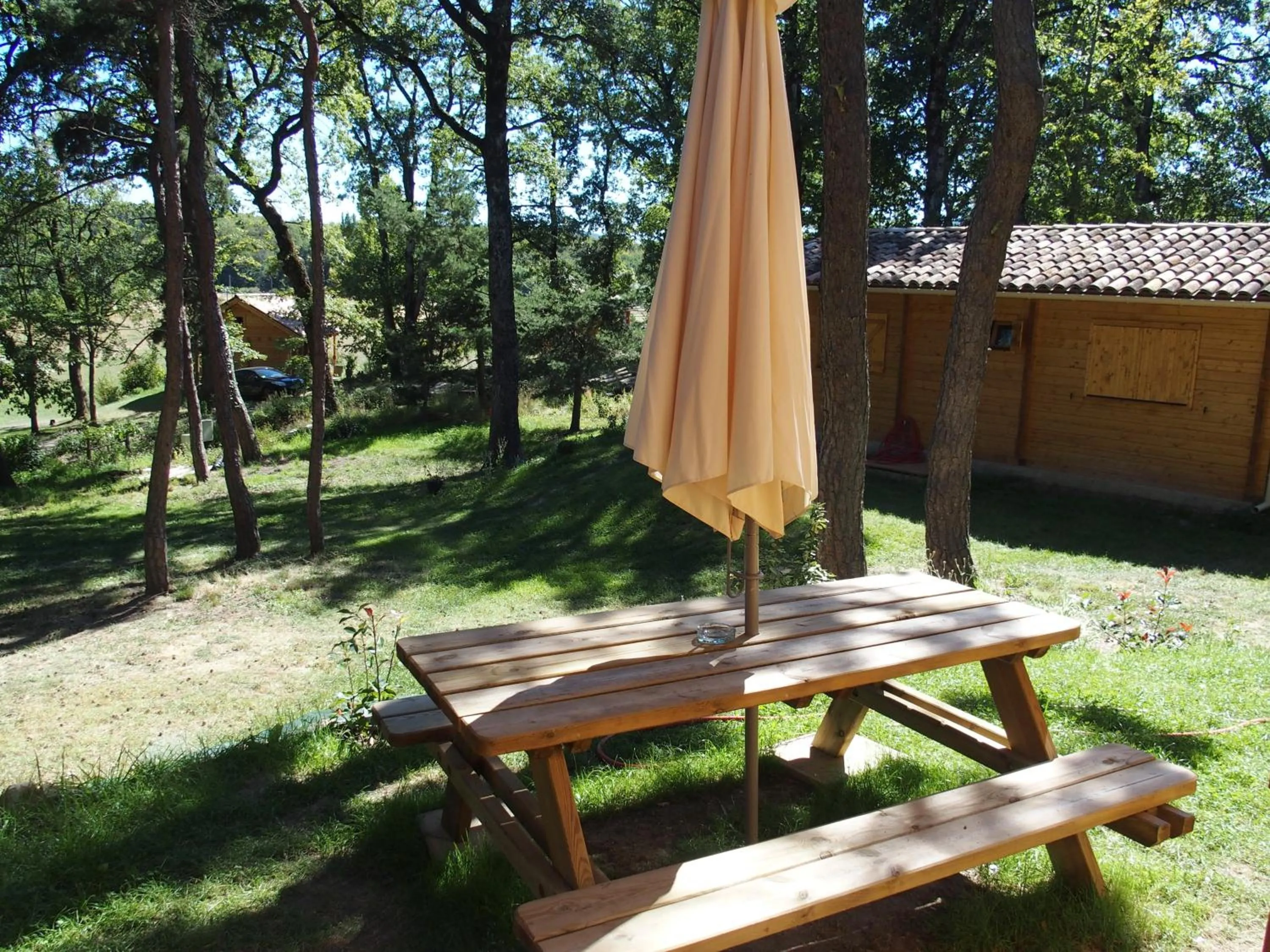 View (from property/room) in Chalets du Bois de Vache