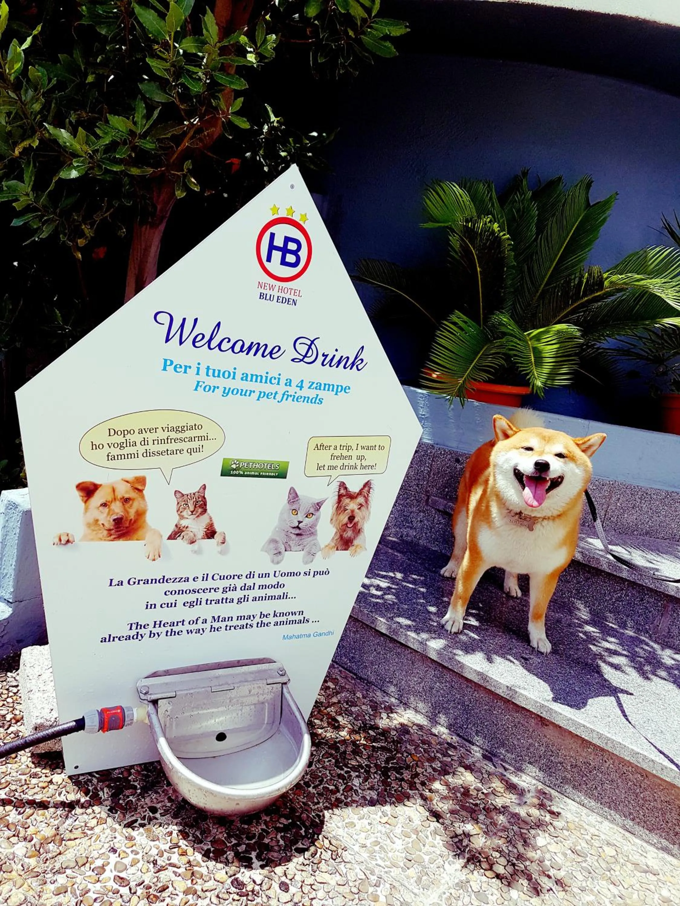 Property logo or sign in Hotel Blu Eden