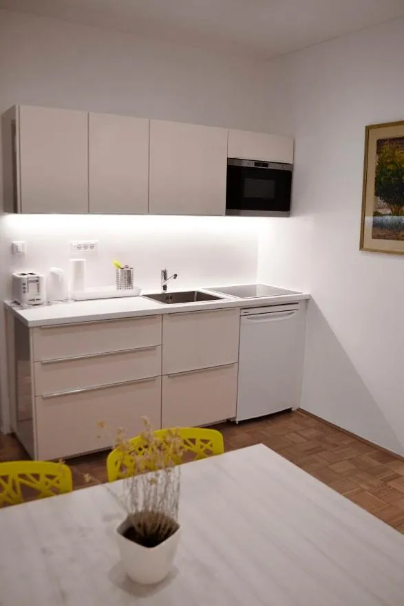 Apartment in Studio in Ljubljana Center