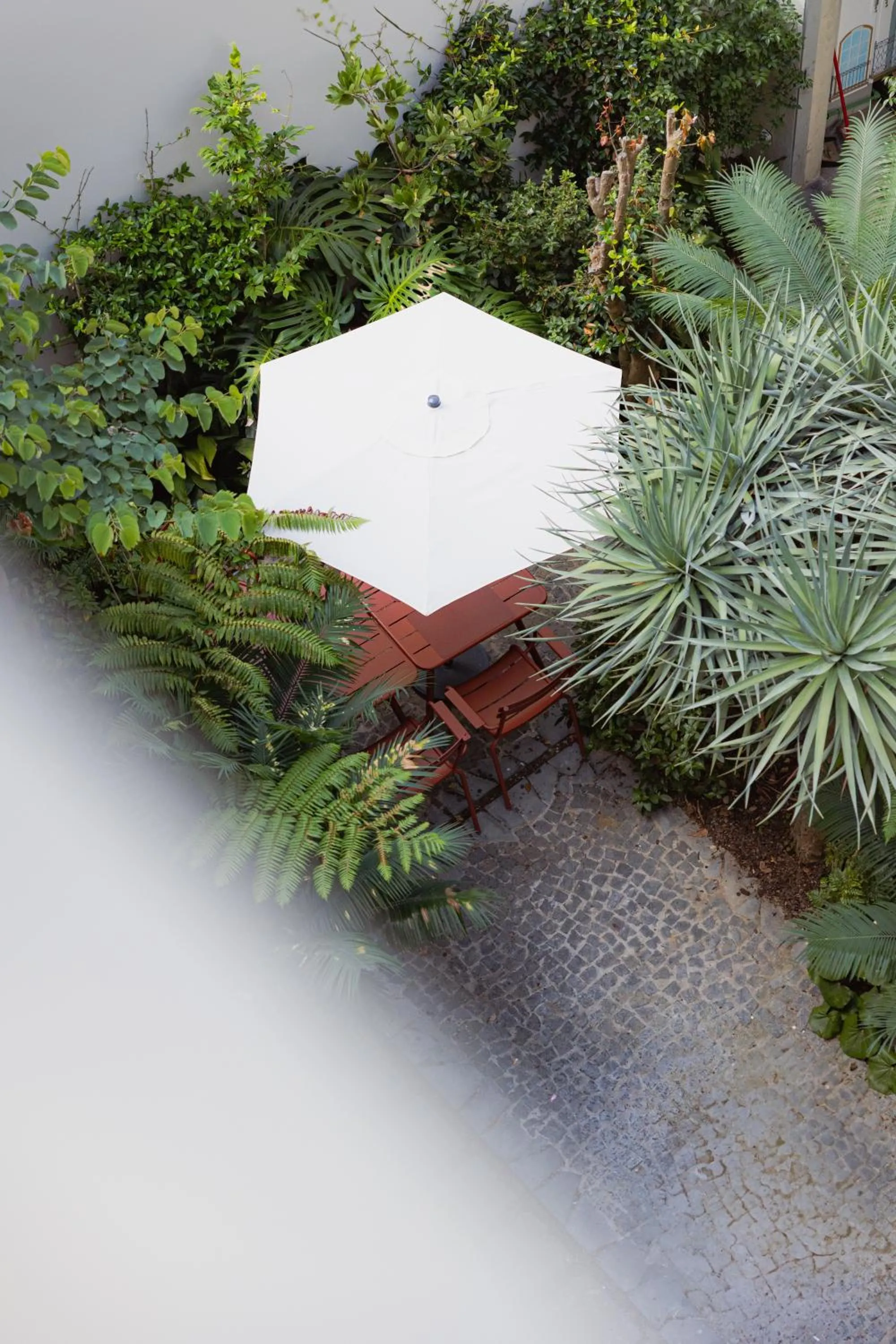 Garden in NINE DOTS Azorean Art Boutique Hotel