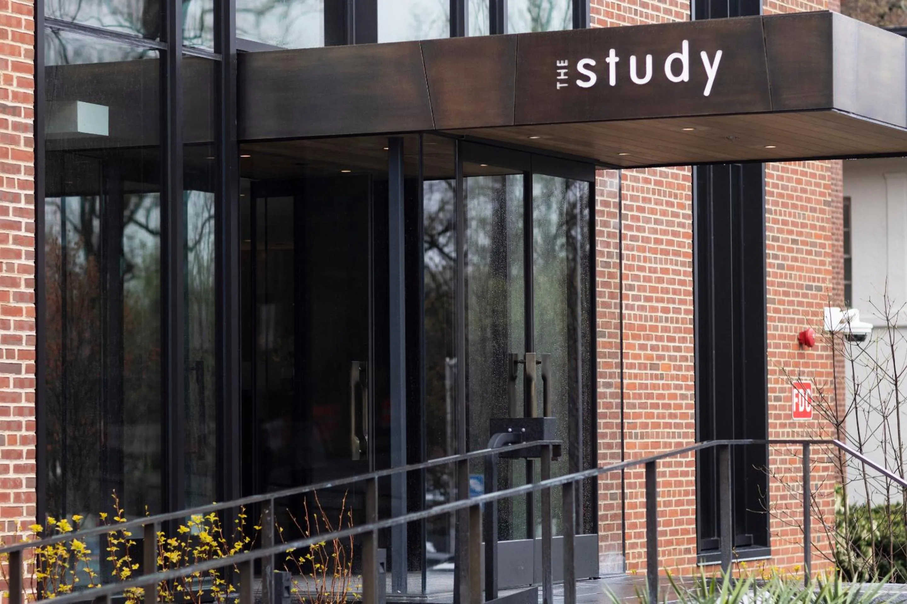 Street view in The Study at Johns Hopkins