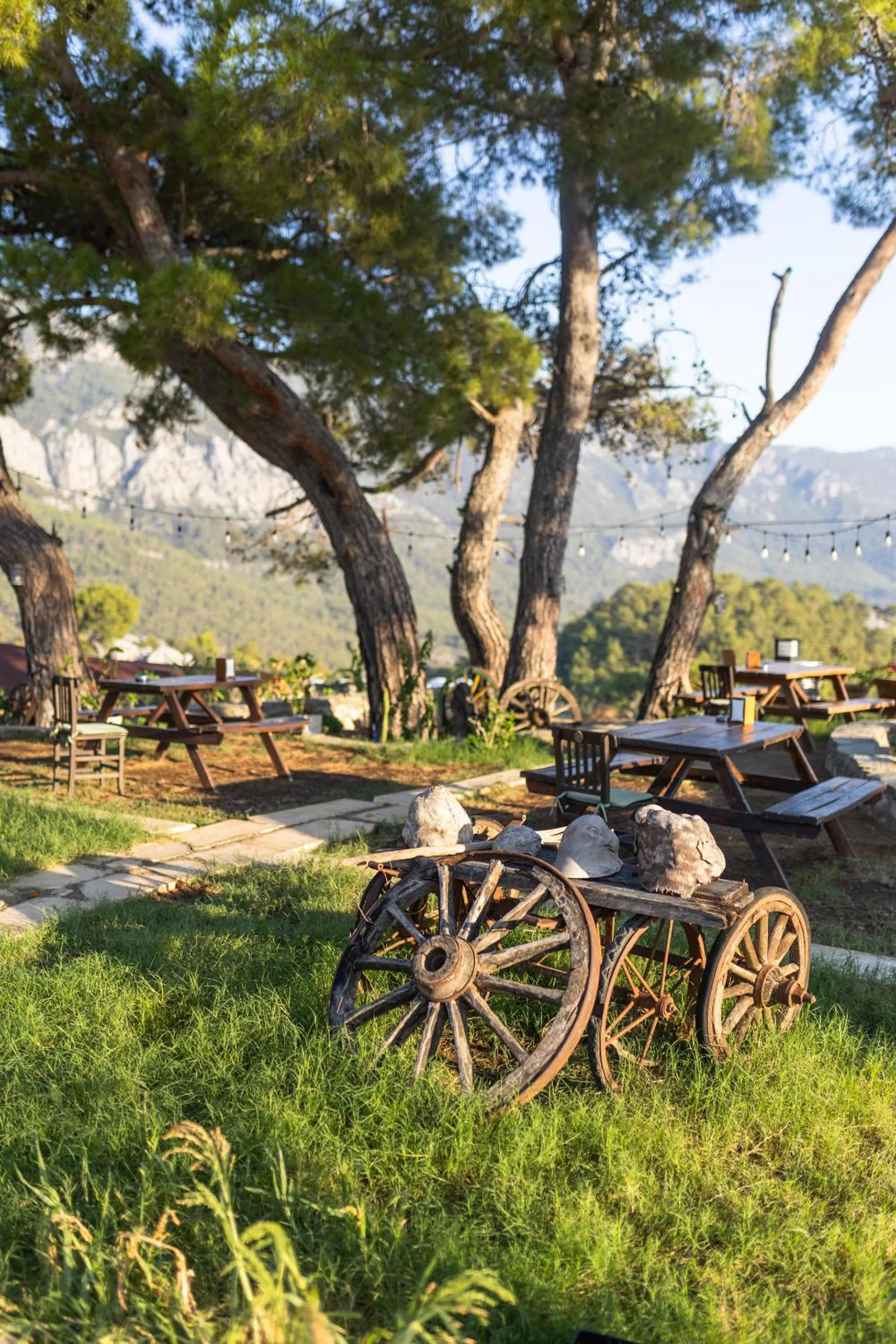 Restaurant/places to eat in Kadir's Eco Life