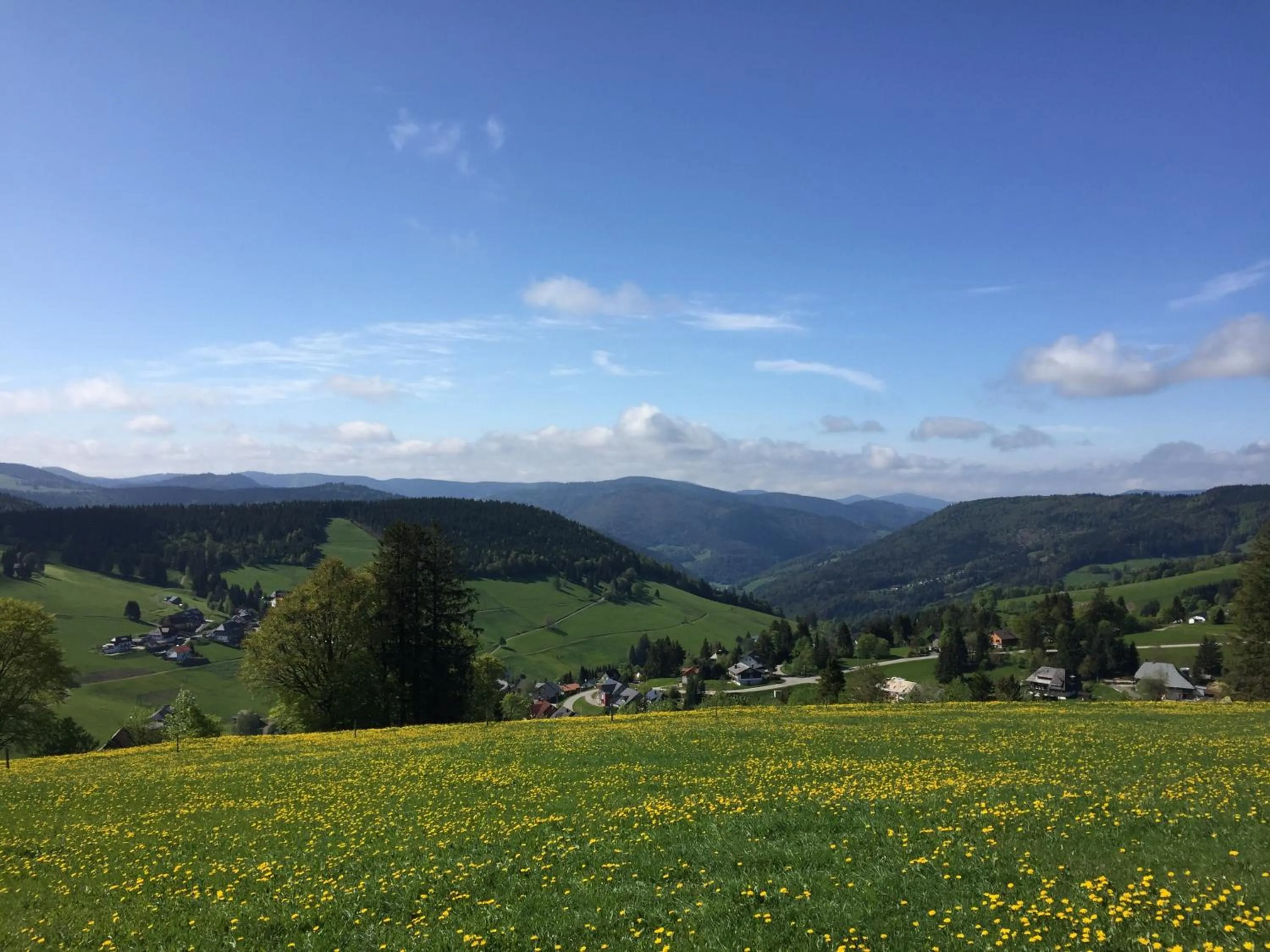 Property building in Pension Glöcklehof