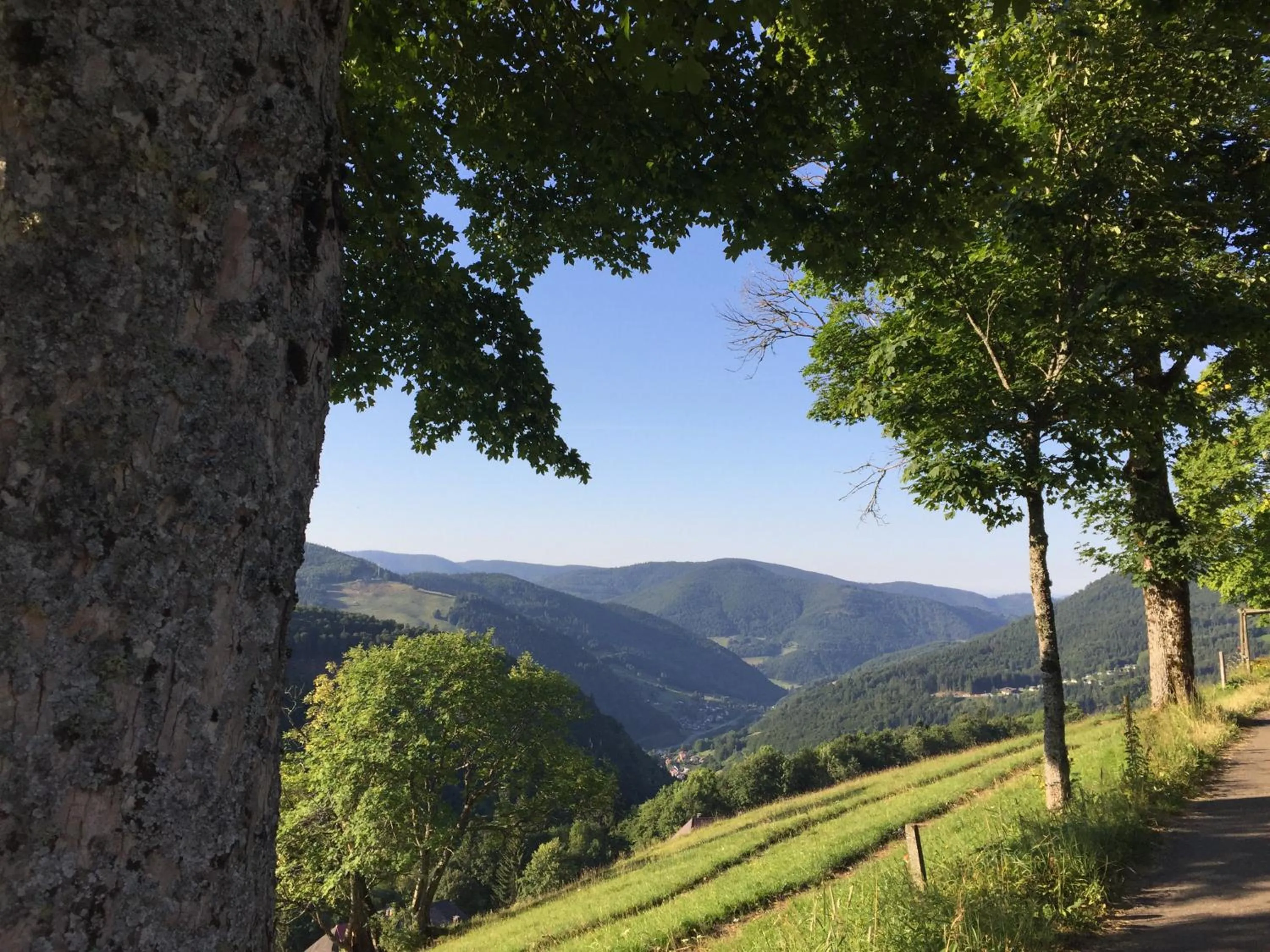 Off site in Pension Glöcklehof