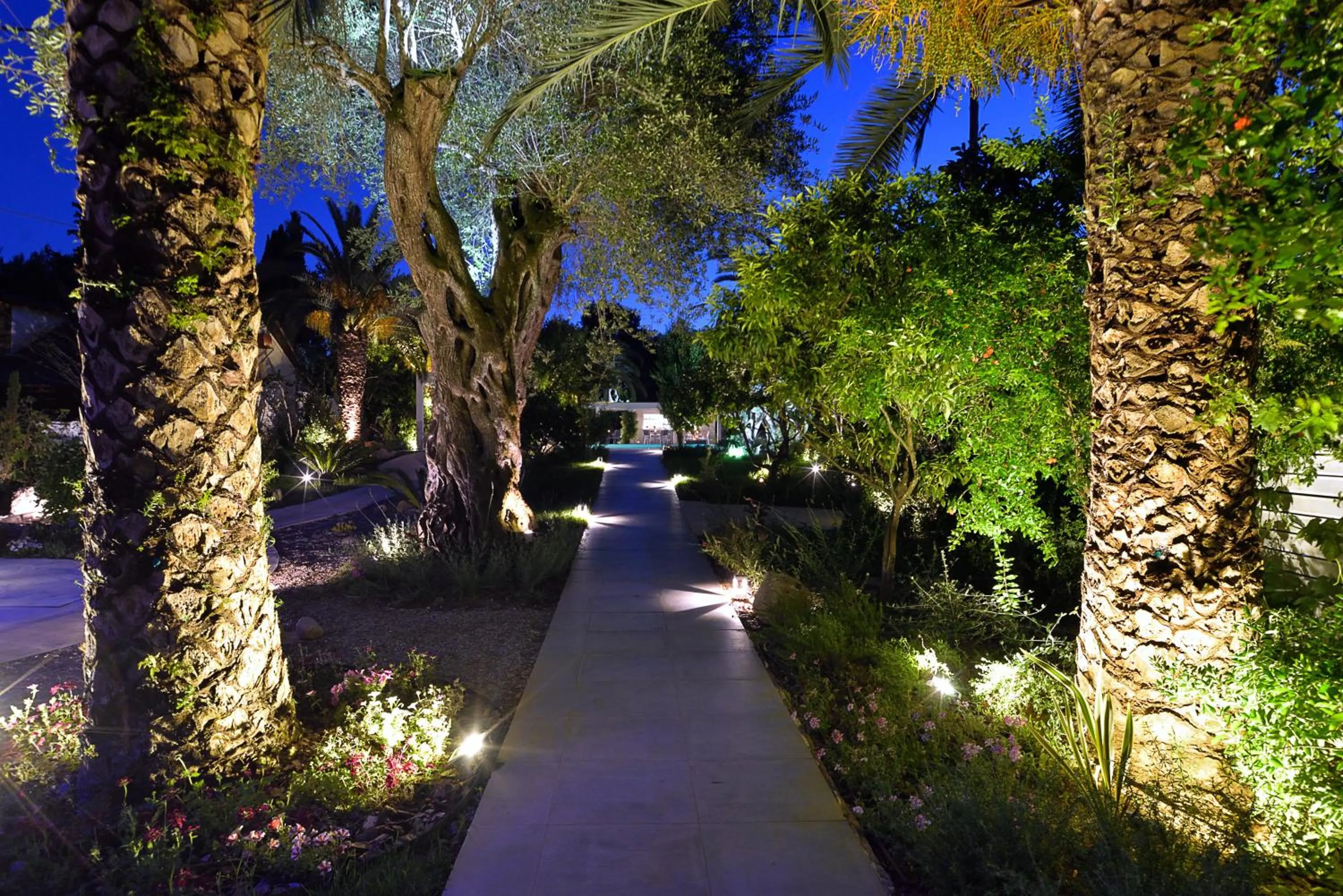 Garden in TRYP by Wyndham Corfu Dassia