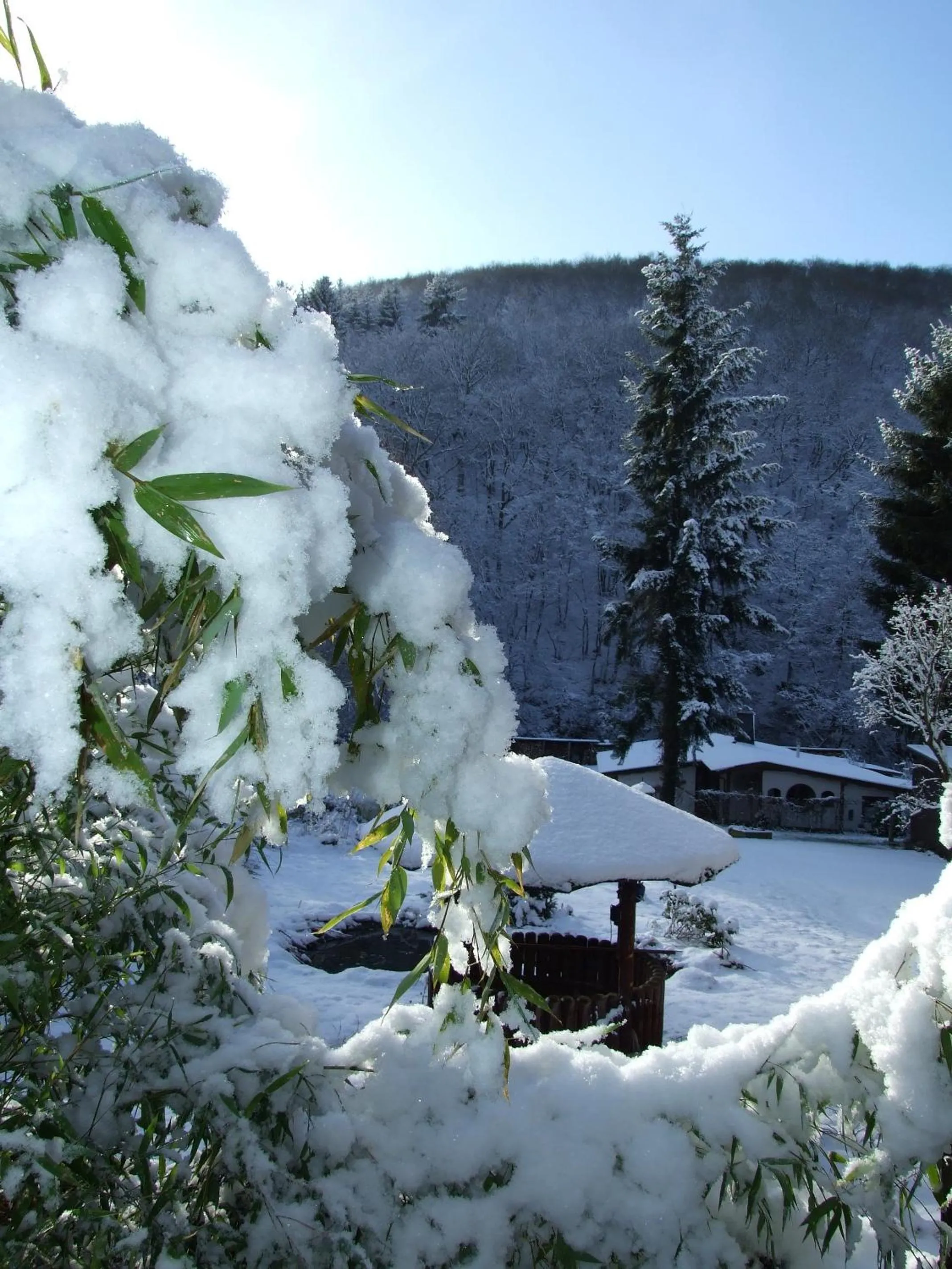 Property building in Hotel Forsthaus