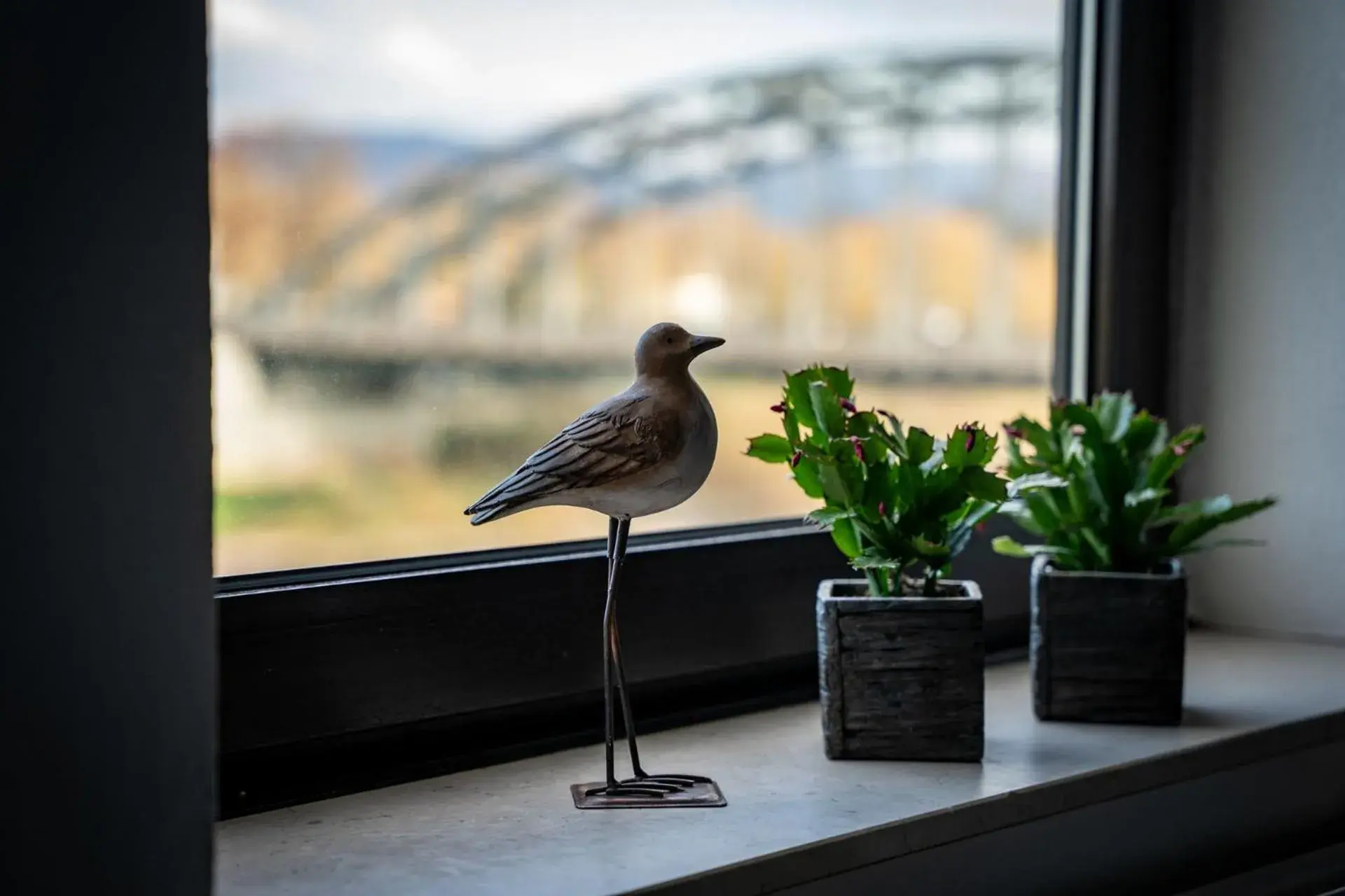 View (from property/room) in Hotel Brückentor View (from property/room) in Hotel Brückentor