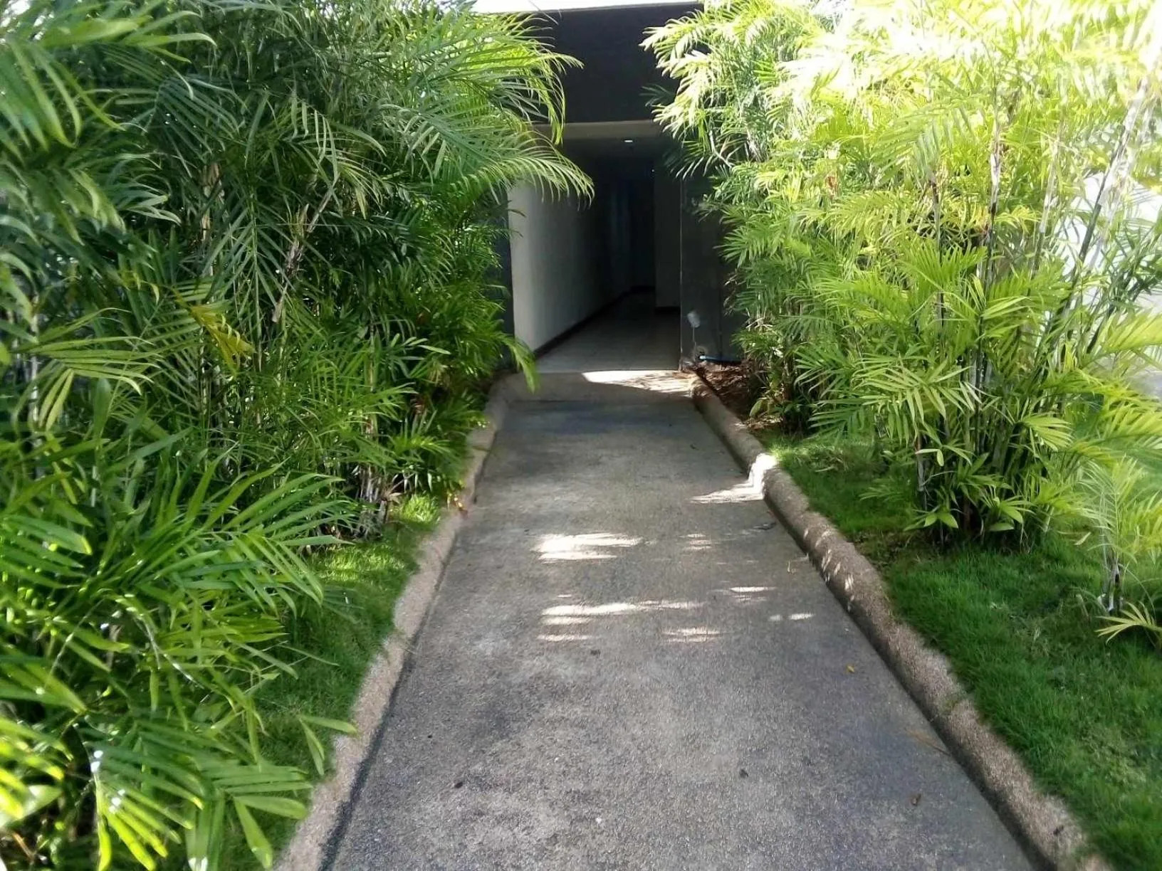 Natural landscape in JY7 Room Rentals Cebu