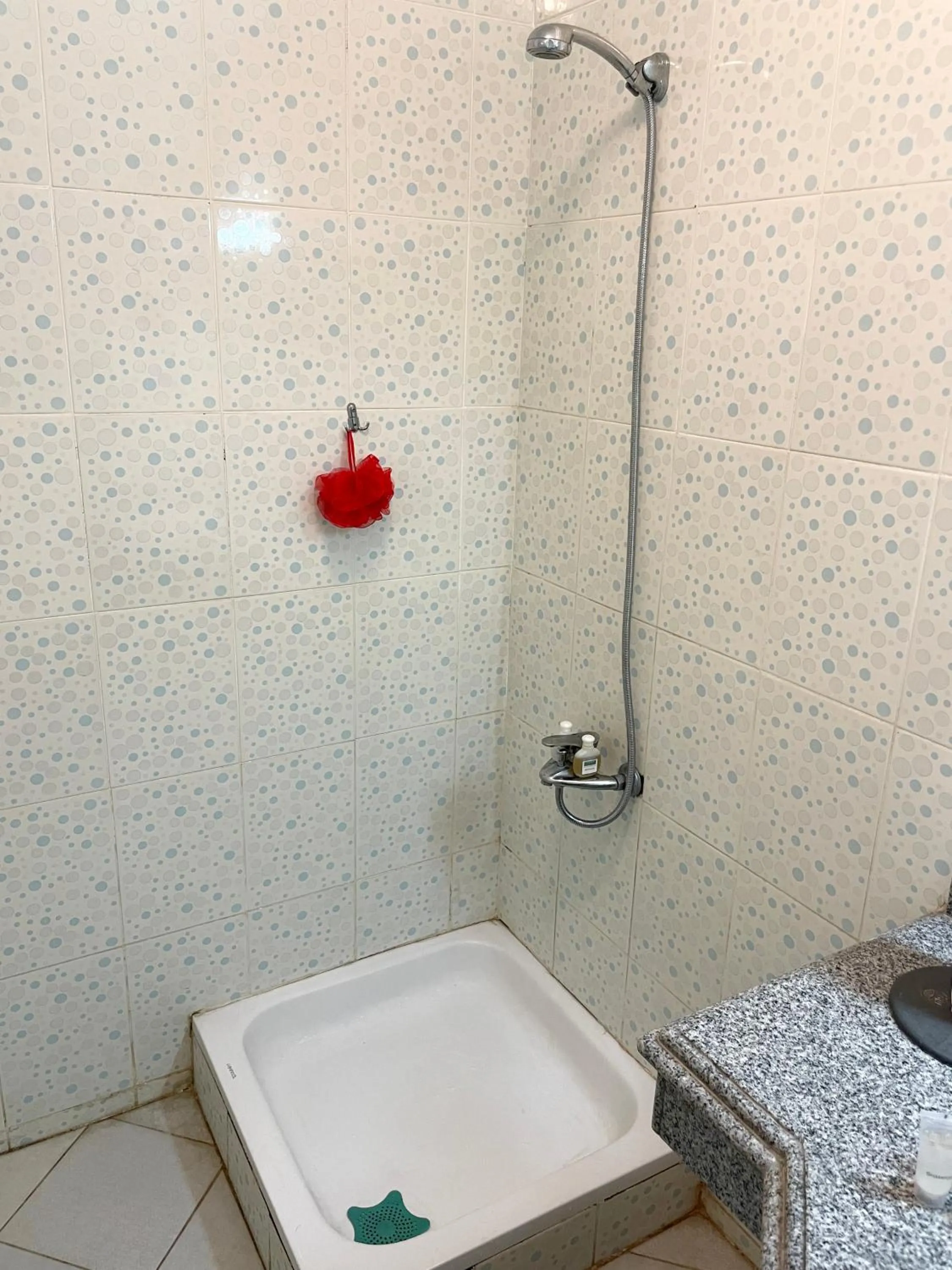 Shower in Dreams House