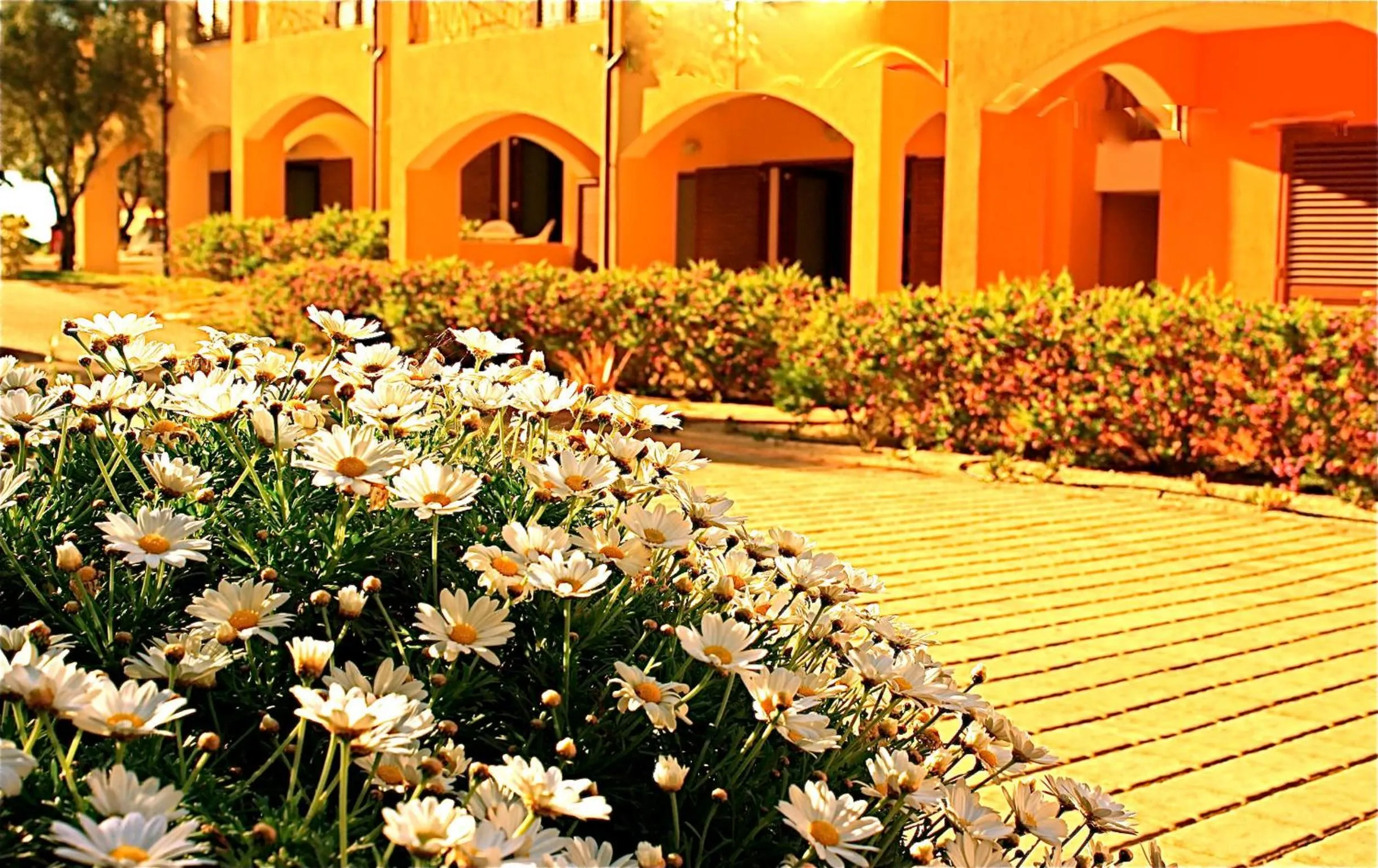 Garden in Residenze L'Isola Surf House
