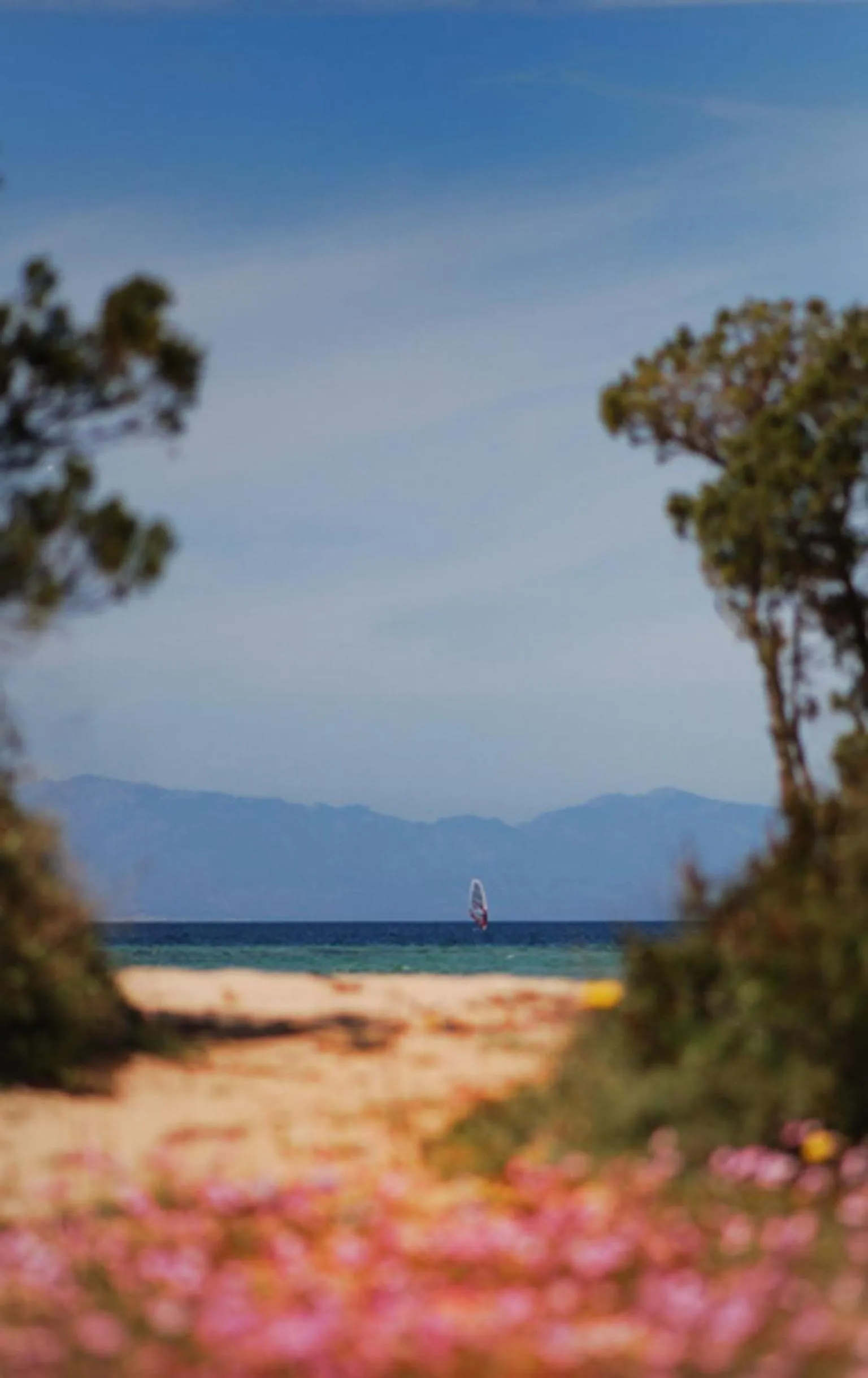 Beach in Residenze L'Isola Surf House