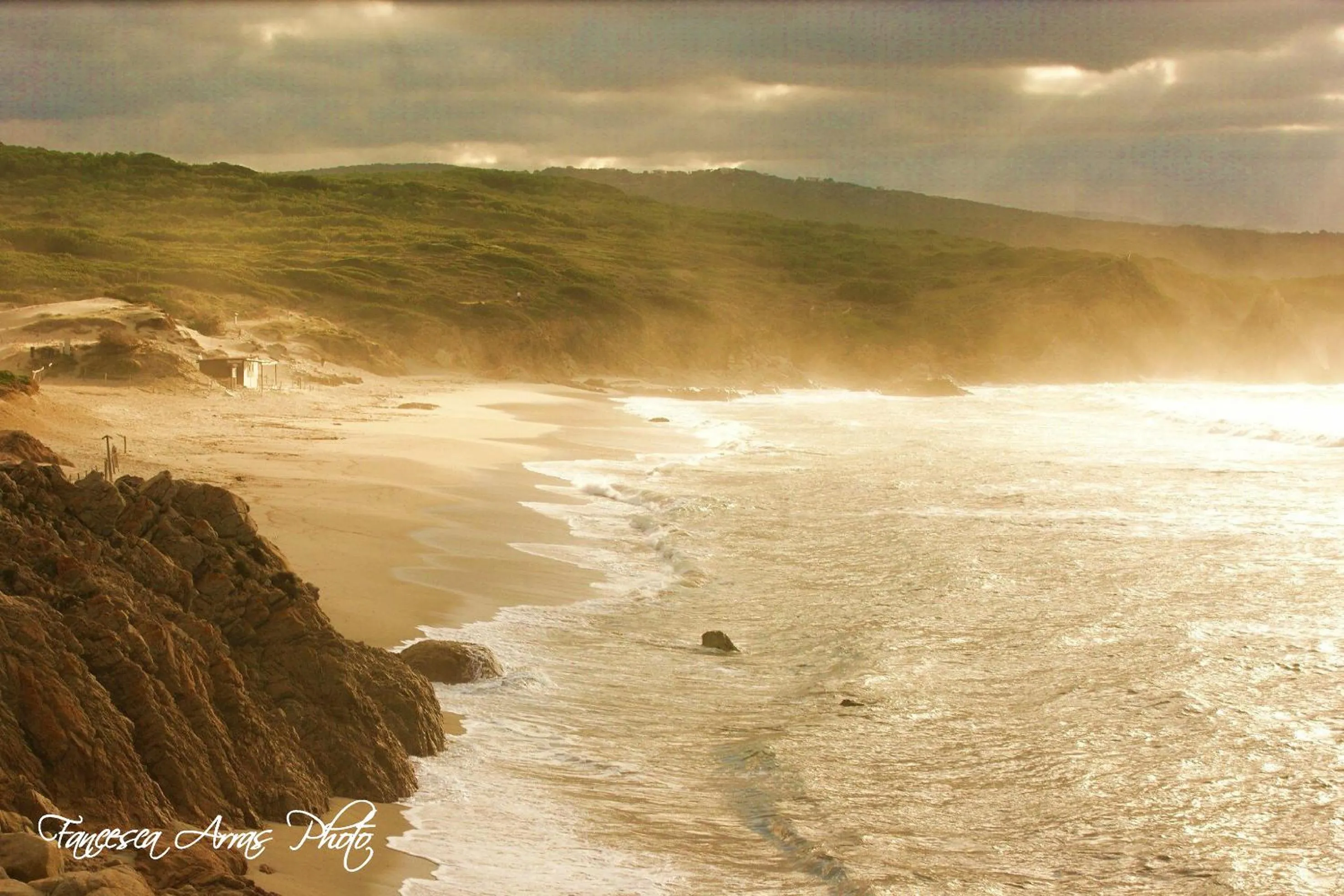 Beach in Residenze L'Isola Surf House