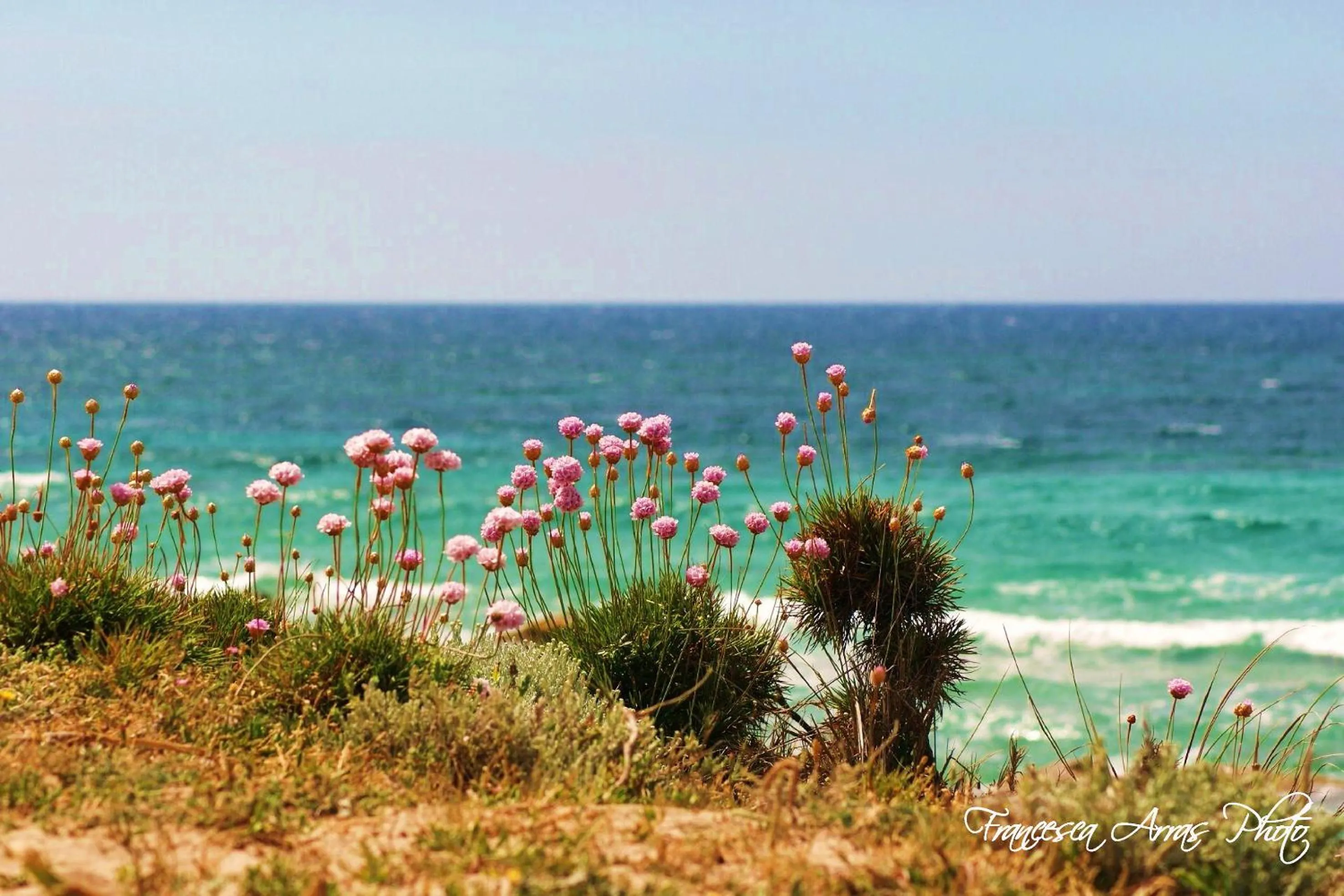Beach in Residenze L'Isola Surf House