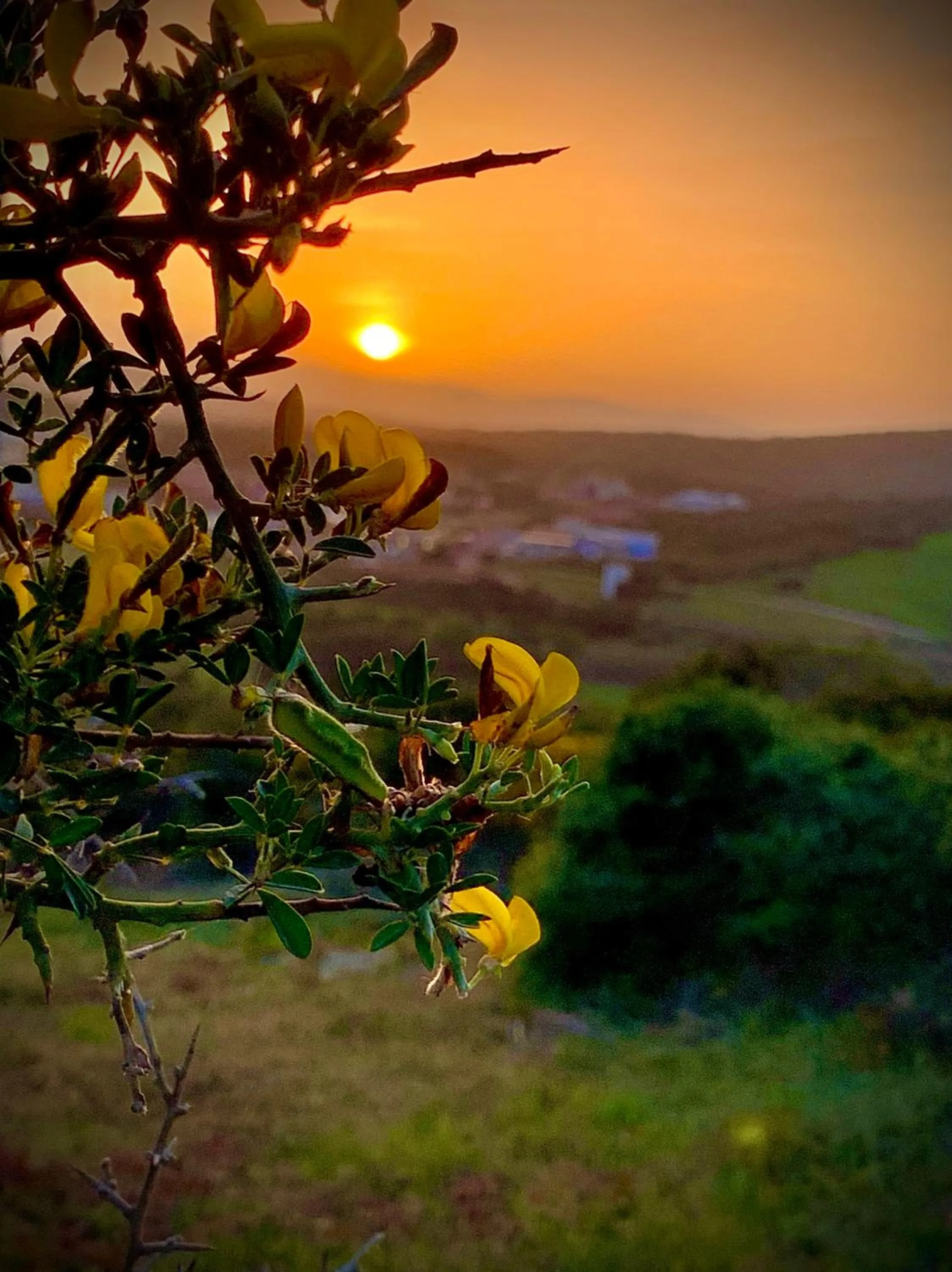 Natural landscape in Residenze L'Isola Surf House