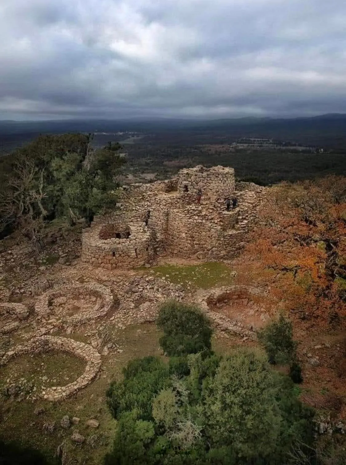Area and facilities in Residenze L'Isola Surf House