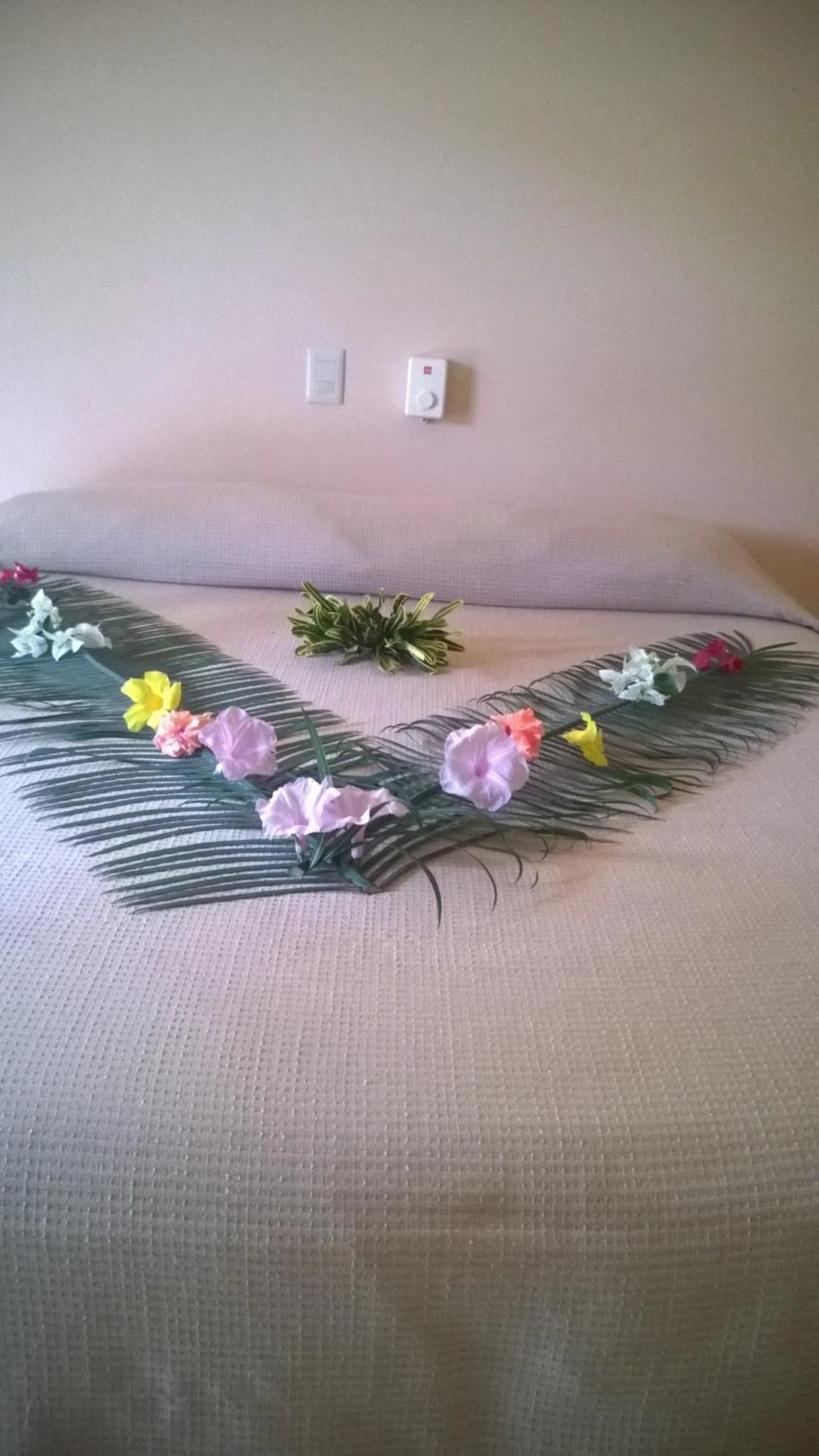 Bed in Villa La Plantacion