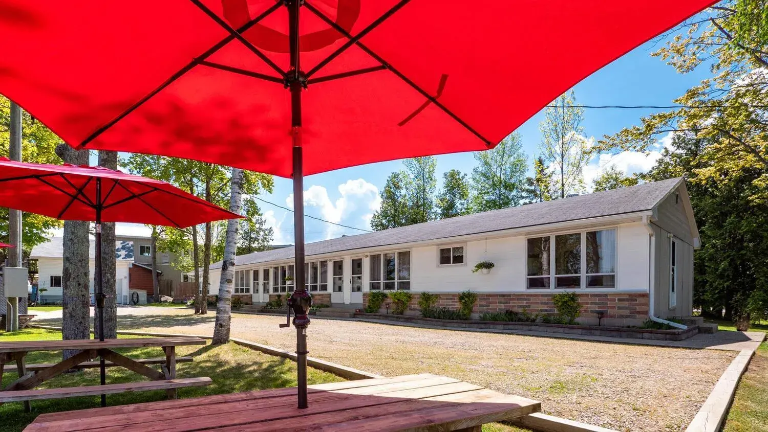 Double Room in Bel Air Cottages and Motel Double Room in Bel Air Cottages and Motel
