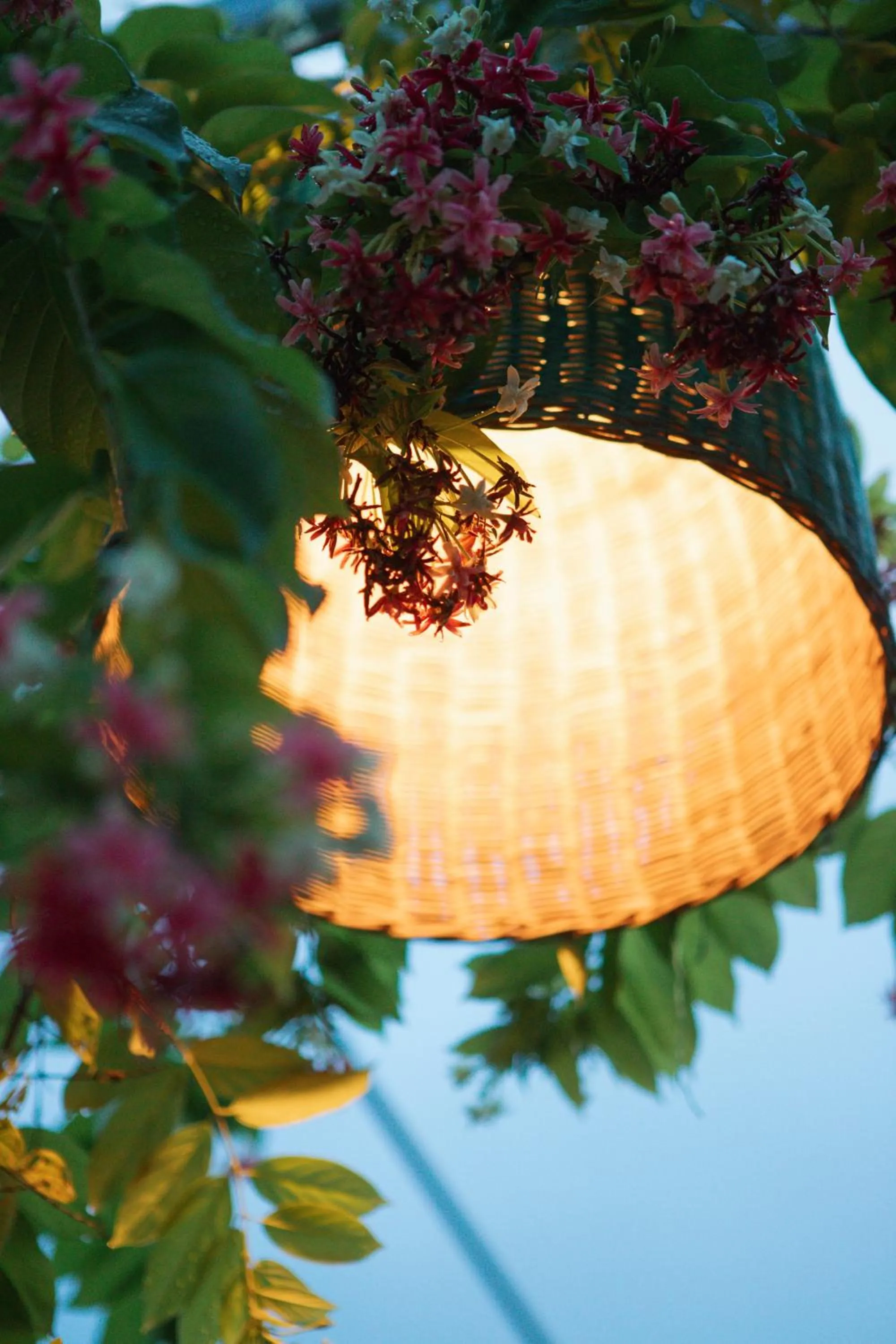 Đại Dương La Gi Homestay & Coffee