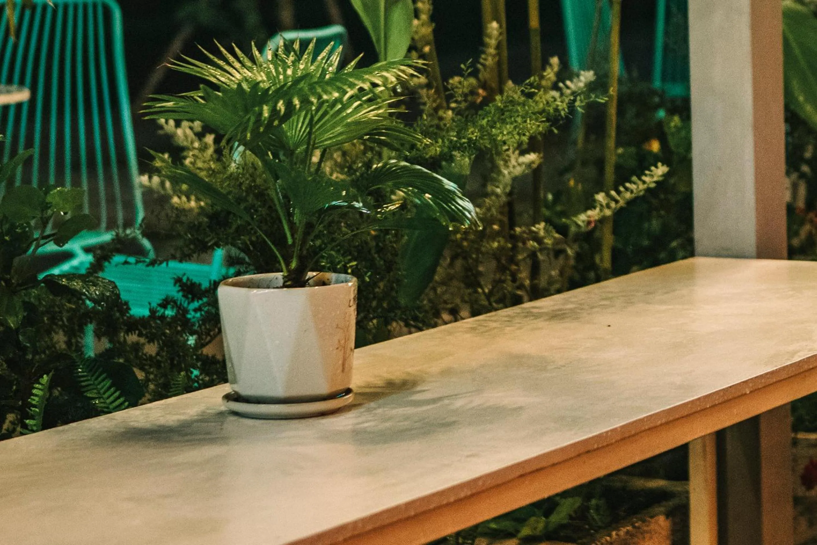 Đại Dương La Gi Homestay & Coffee
