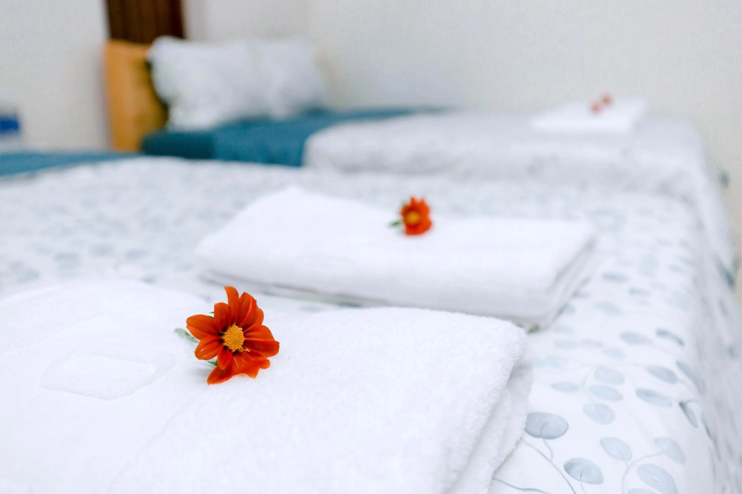 Bed in Đại Dương La Gi Homestay & Coffee