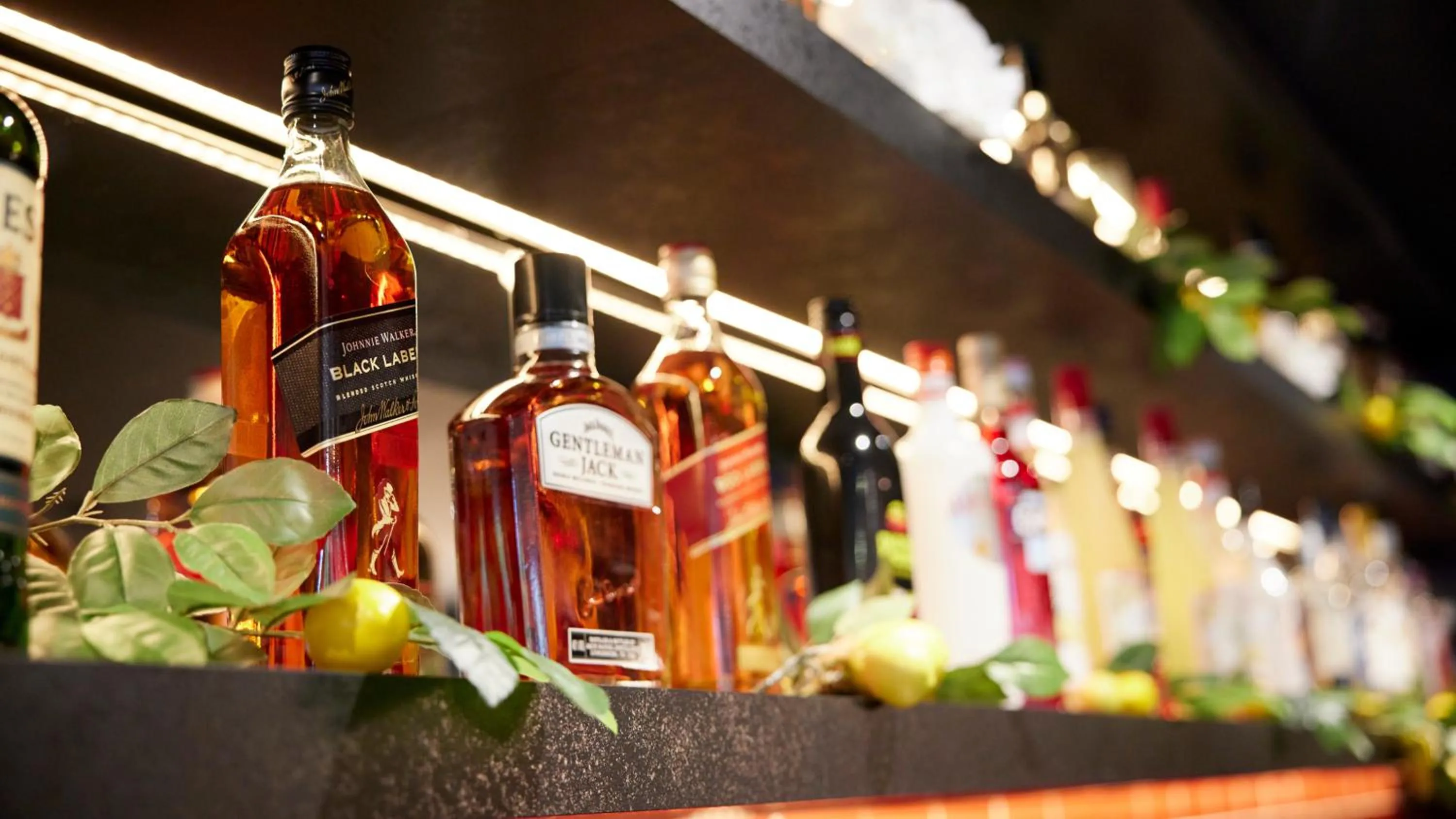 Lounge or bar in Tŷ Newport